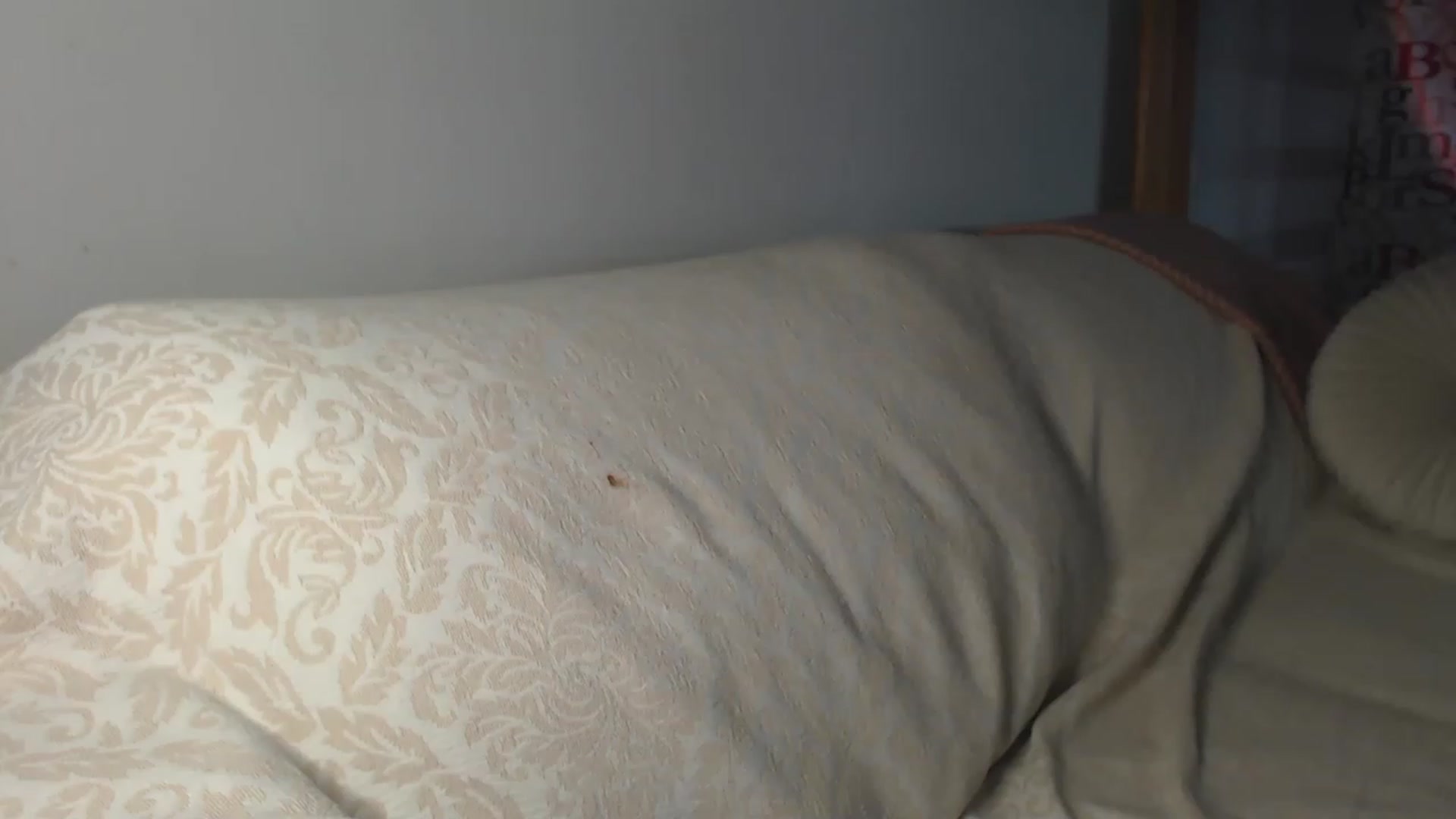 Gallery image thumbnail from Golden_Teaser's myfreecams stream on, 04/21/2023, 17:51 image 12 of 20