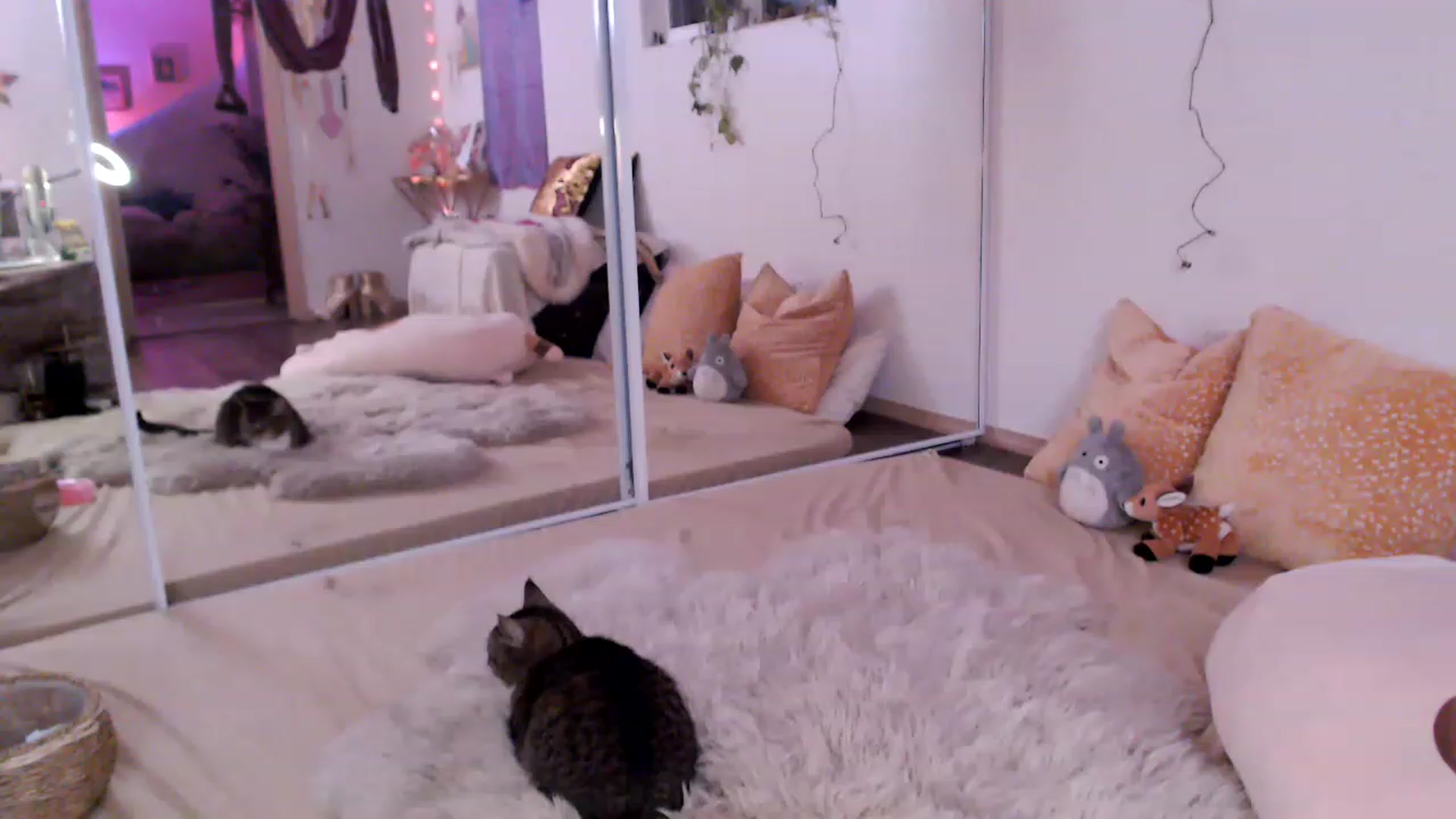 Gallery image thumbnail from GoldieFawn's myfreecams stream on, 04/08/2023, 09:01 image 19 of 20