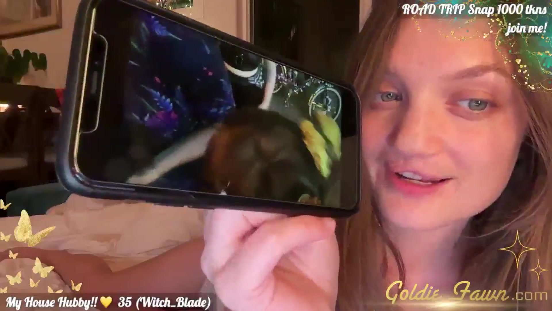 Gallery image thumbnail from GoldieFawn's myfreecams stream on, 07/03/2024, 05:29 image 17 of 20