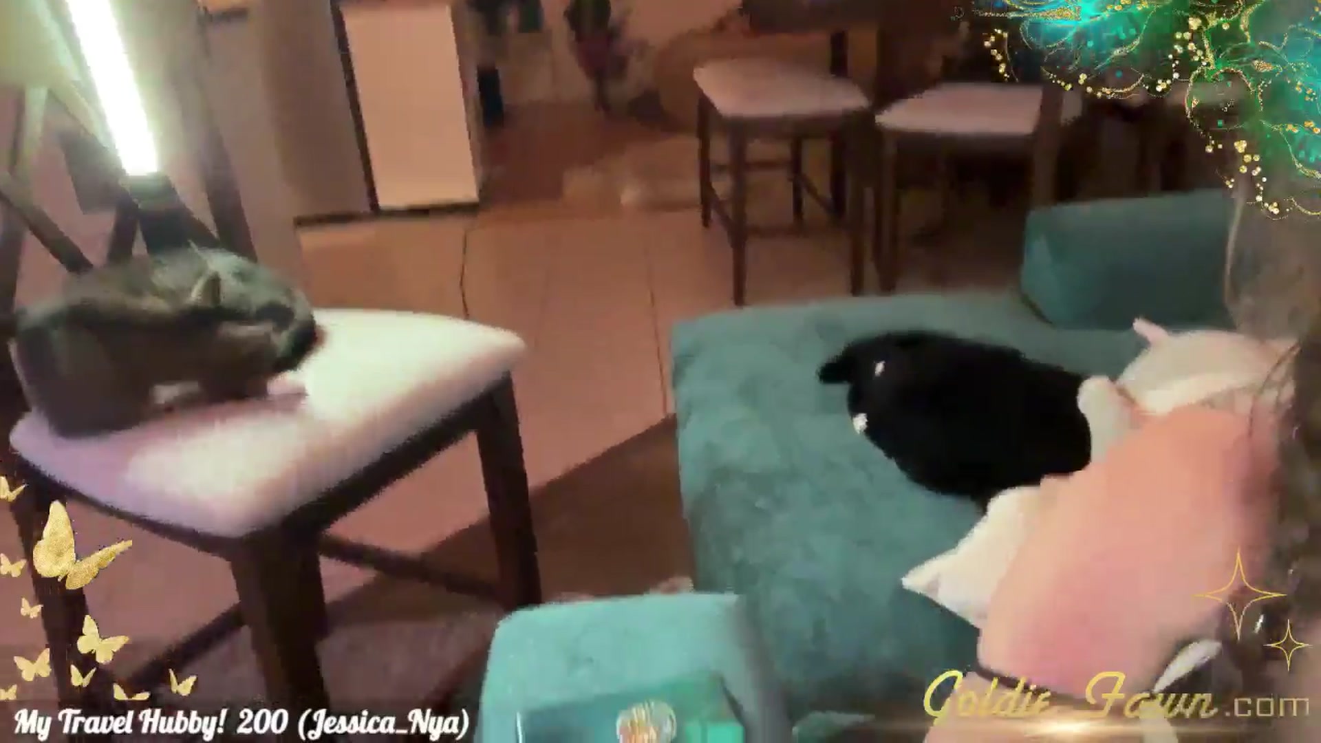 Gallery image thumbnail from GoldieFawn's myfreecams stream on, 11/21/2024, 02:51 image 9 of 20