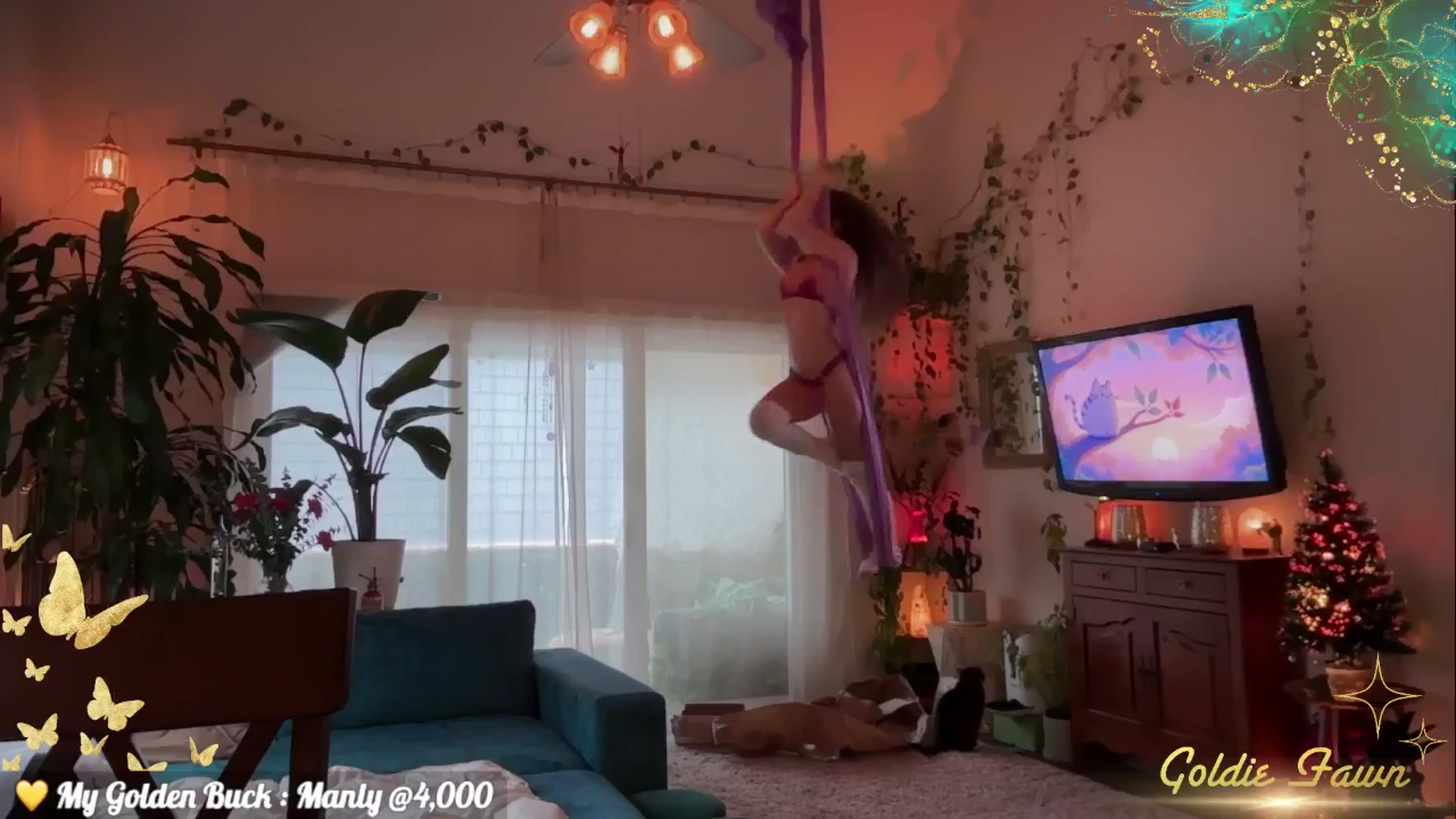 Gallery image thumbnail from GoldieFawn's myfreecams stream on, 03/12/2025, 01:08 image 8 of 20