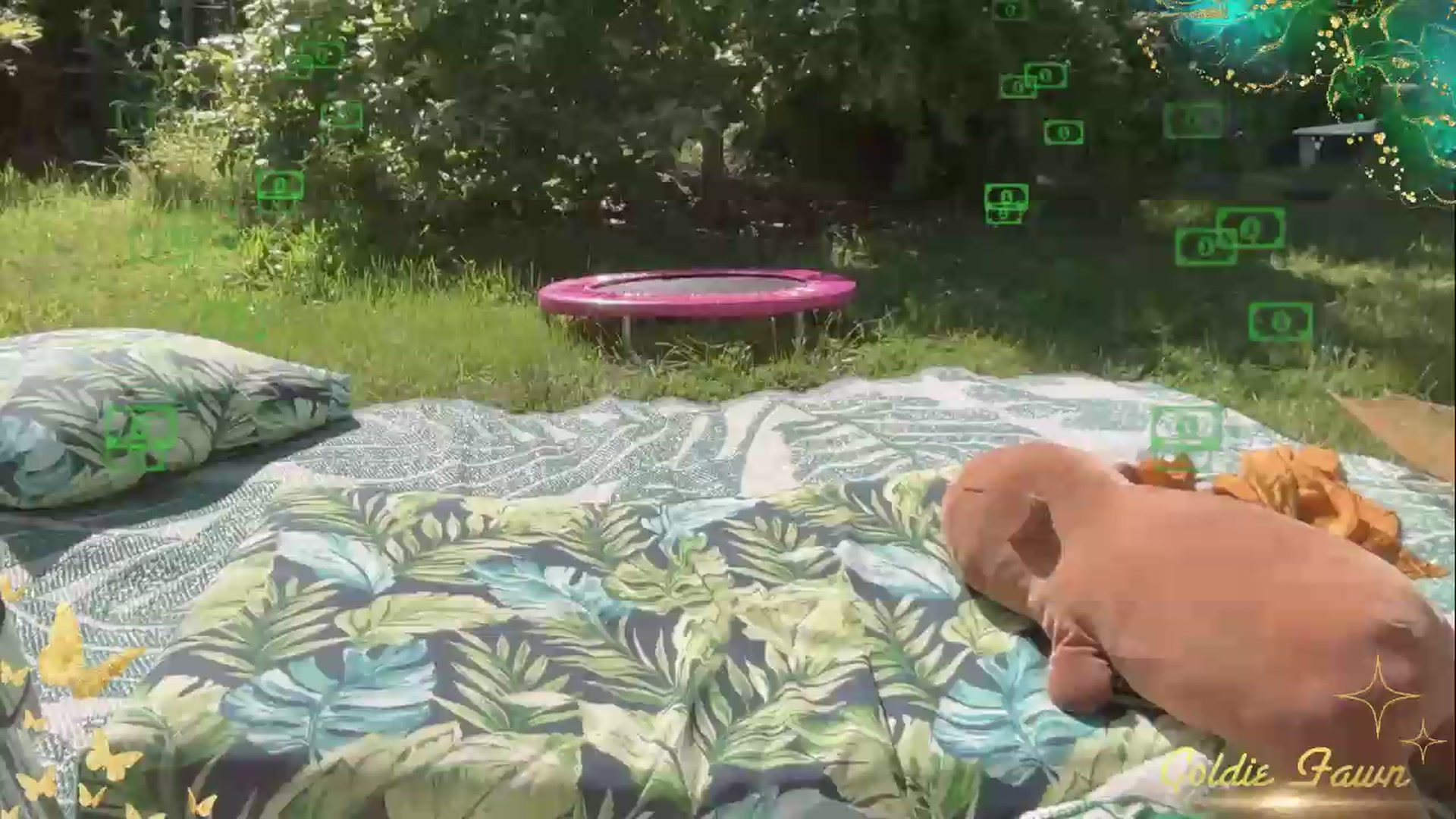 Gallery image thumbnail from GoldieFawn's myfreecams stream on, 05/30/2026, 23:41 image 16 of 20