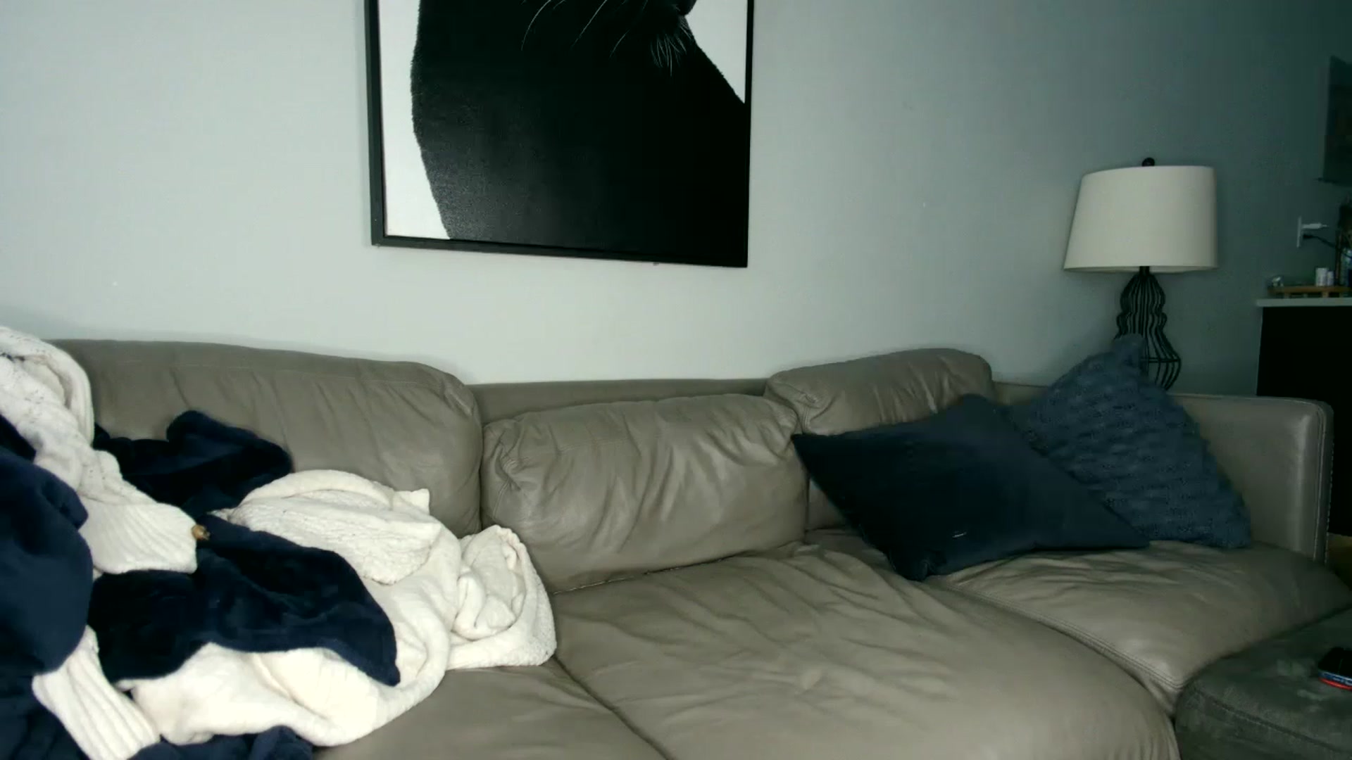 Gallery image thumbnail from Goldilicks's myfreecams stream on, 06/13/2023, 19:19 image 13 of 20