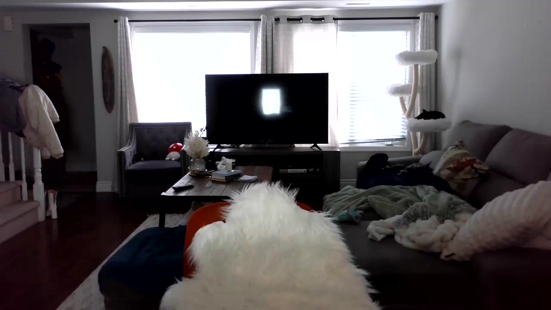 Gallery image thumbnail from Goldilicks's myfreecams stream on, 03/26/2024, 18:32 image 20 of 20