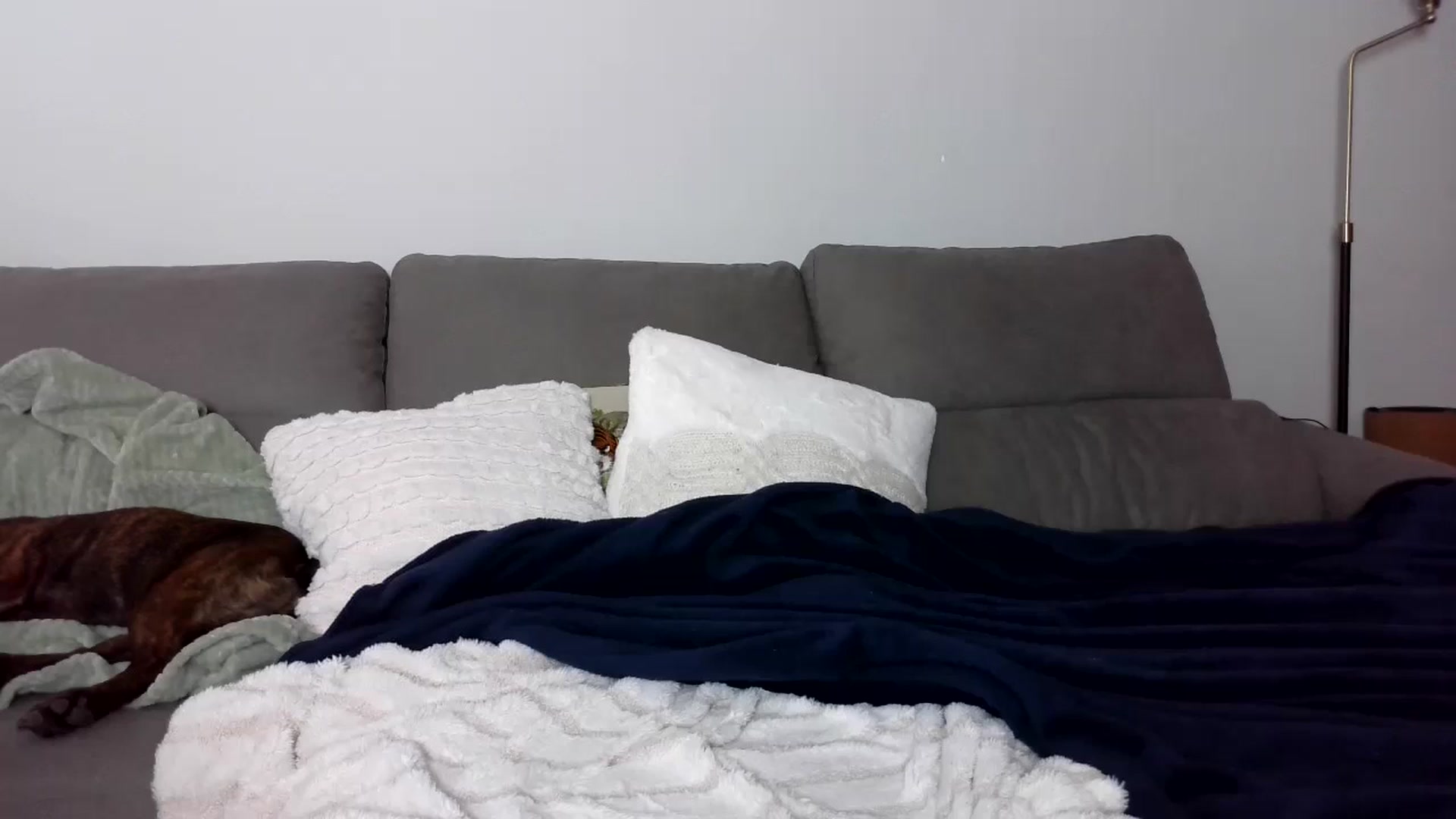 Gallery image thumbnail from Goldilicks's myfreecams stream on, 03/29/2024, 20:11 image 13 of 20