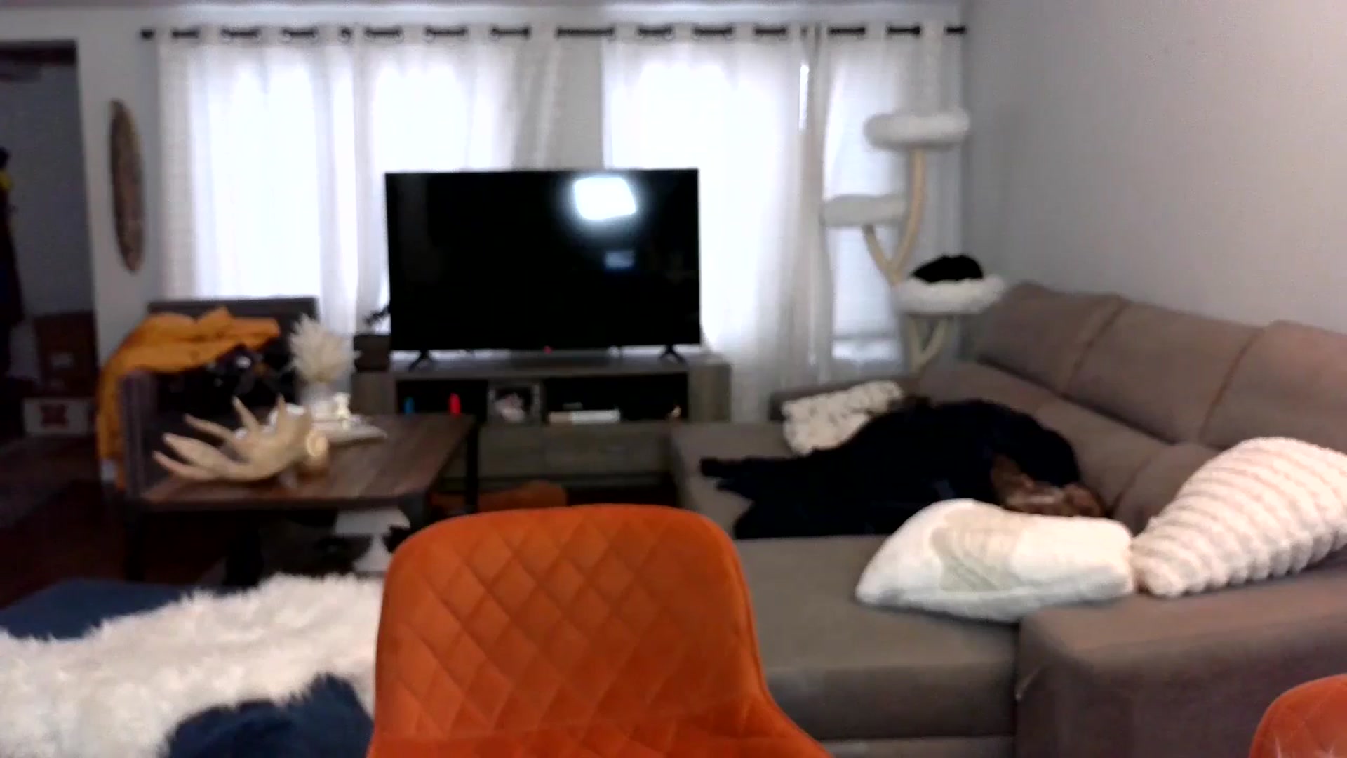 Gallery image thumbnail from Goldilicks's myfreecams stream on, 04/03/2024, 15:13 image 14 of 20