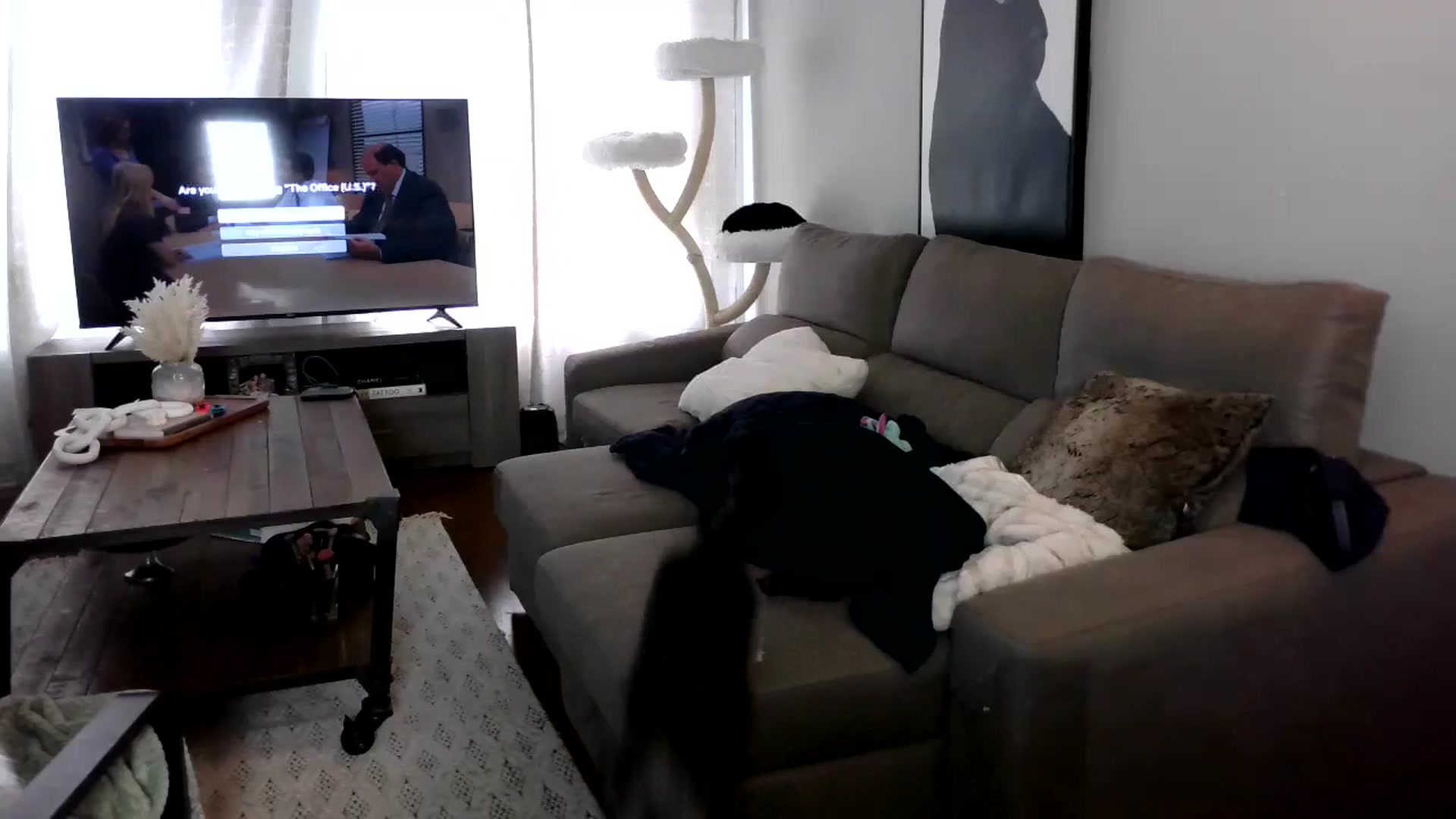Gallery image thumbnail from Goldilicks's myfreecams stream on, 04/29/2024, 15:14 image 16 of 20