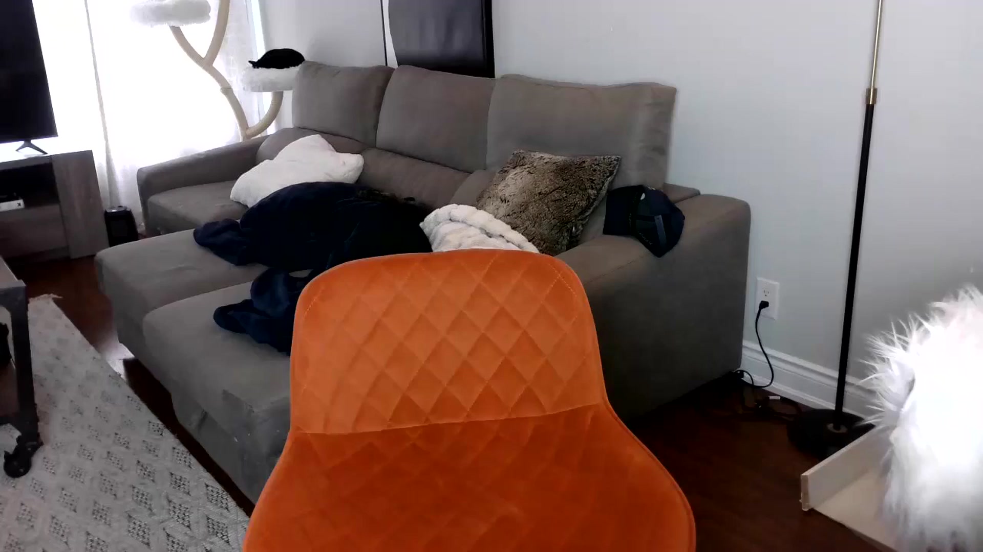 Gallery image thumbnail from Goldilicks's myfreecams stream on, 04/29/2024, 16:05 image 20 of 20