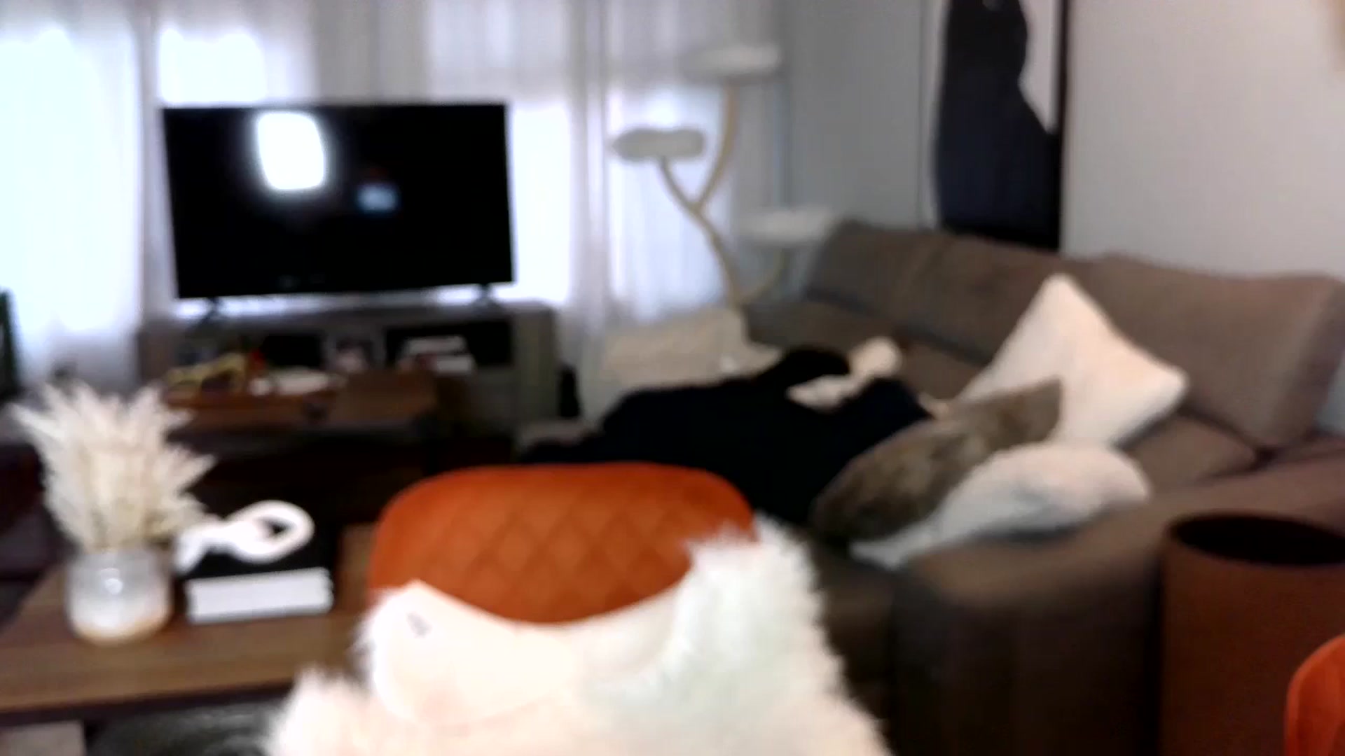 Gallery image thumbnail from Goldilicks's myfreecams stream on, 05/08/2024, 23:56 image 9 of 20