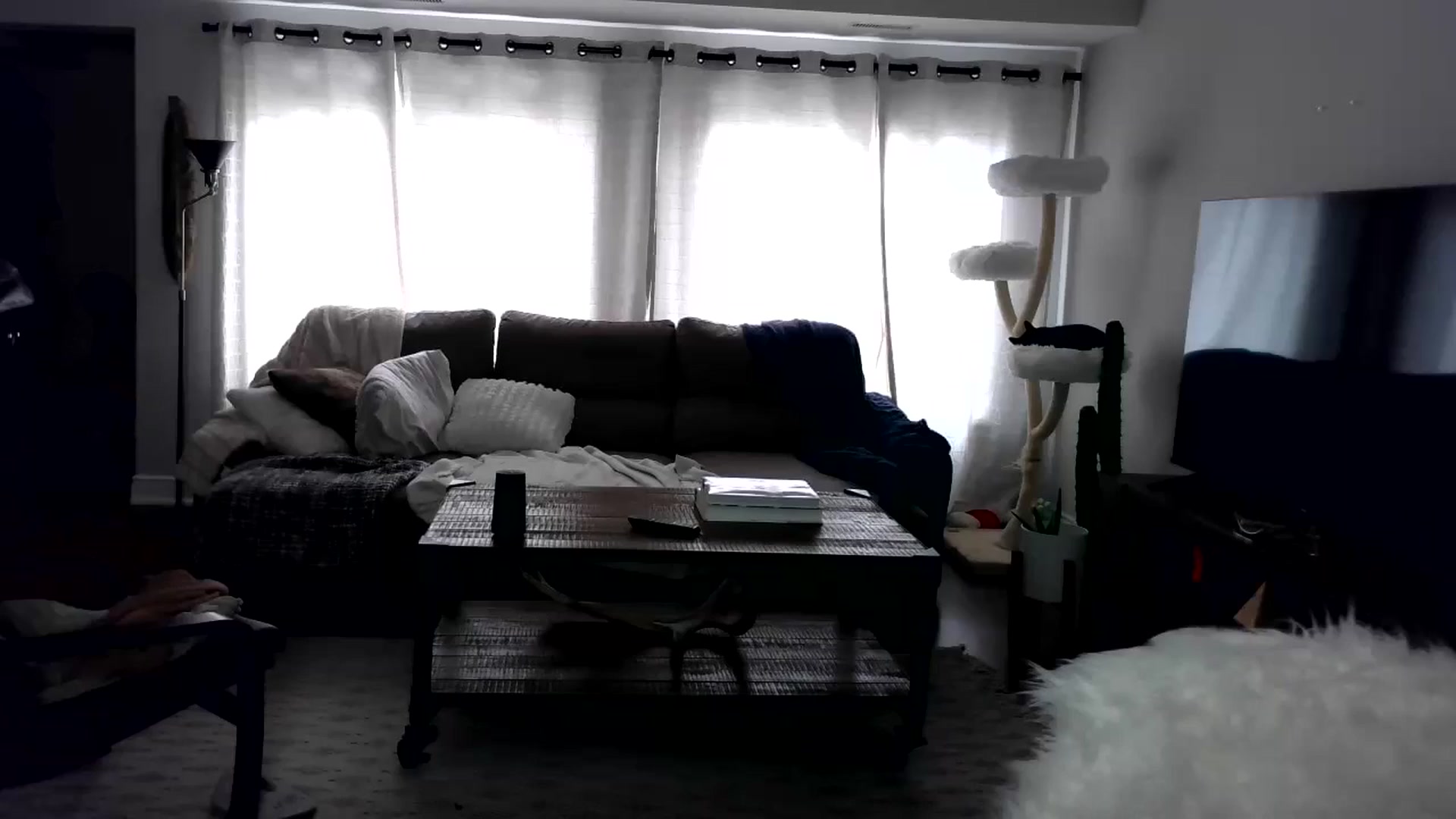 Gallery image thumbnail from Goldilicks's myfreecams stream on, 05/28/2024, 16:12 image 7 of 20
