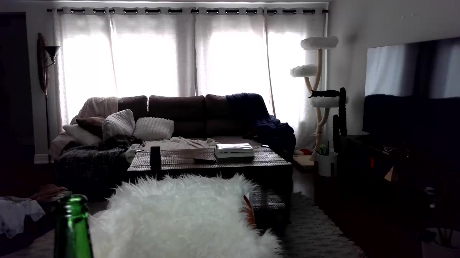 Gallery image thumbnail from Goldilicks's myfreecams stream on, 05/28/2024, 16:12 image 10 of 20