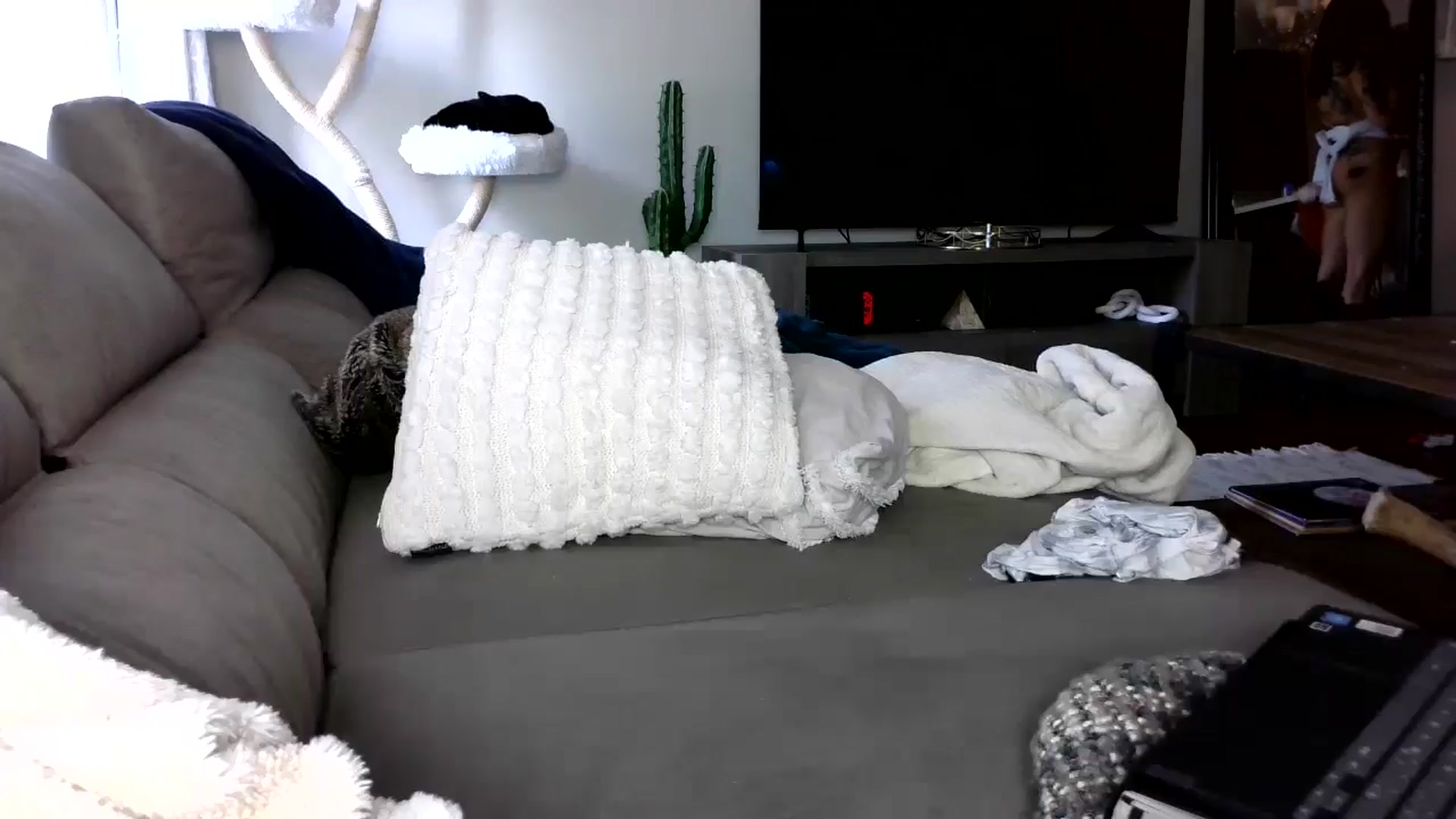 Gallery image thumbnail from Goldilicks's myfreecams stream on, 05/29/2024, 16:46 image 14 of 20