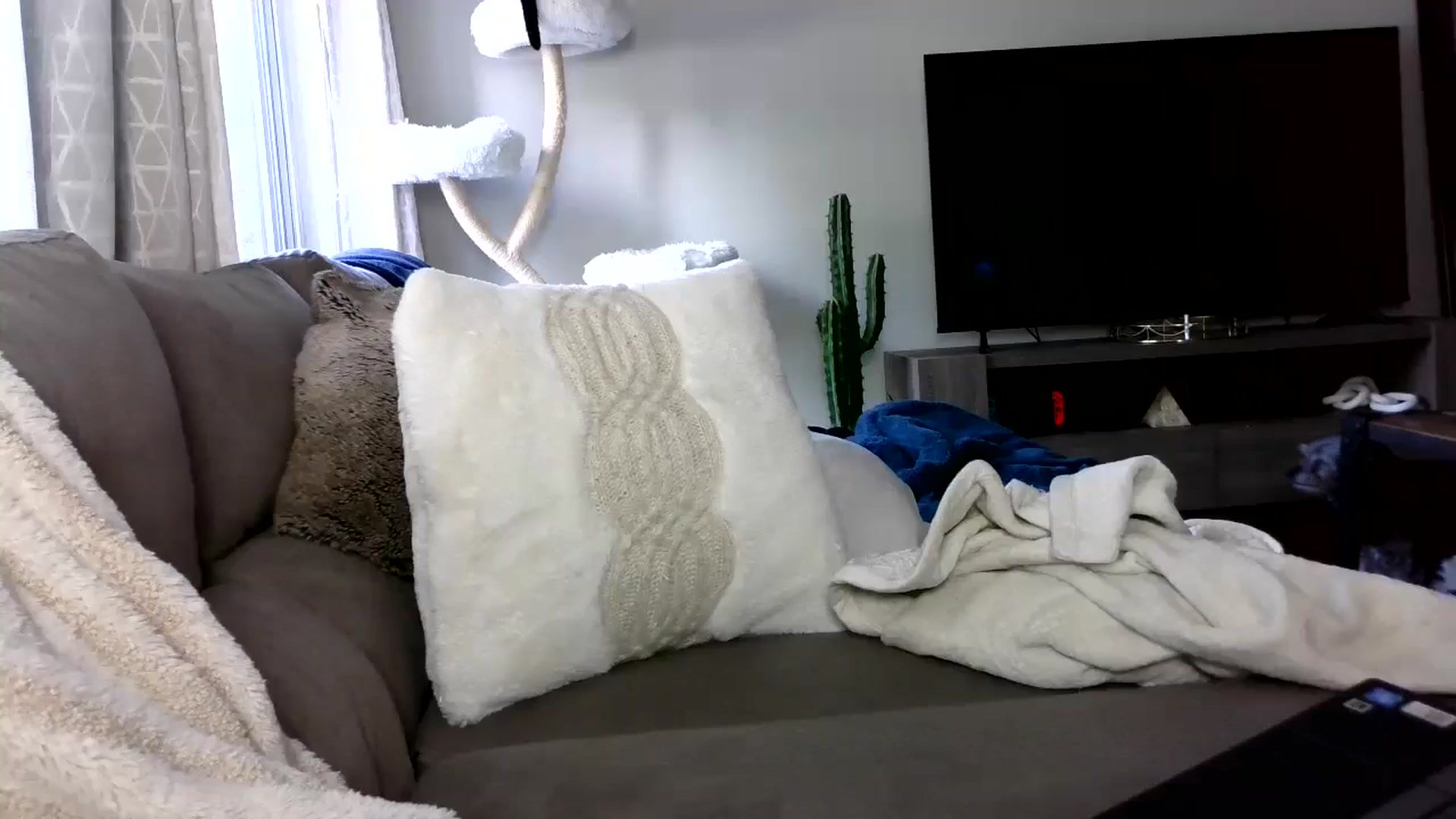 Gallery image thumbnail from Goldilicks's myfreecams stream on, 05/29/2024, 16:46 image 2 of 20