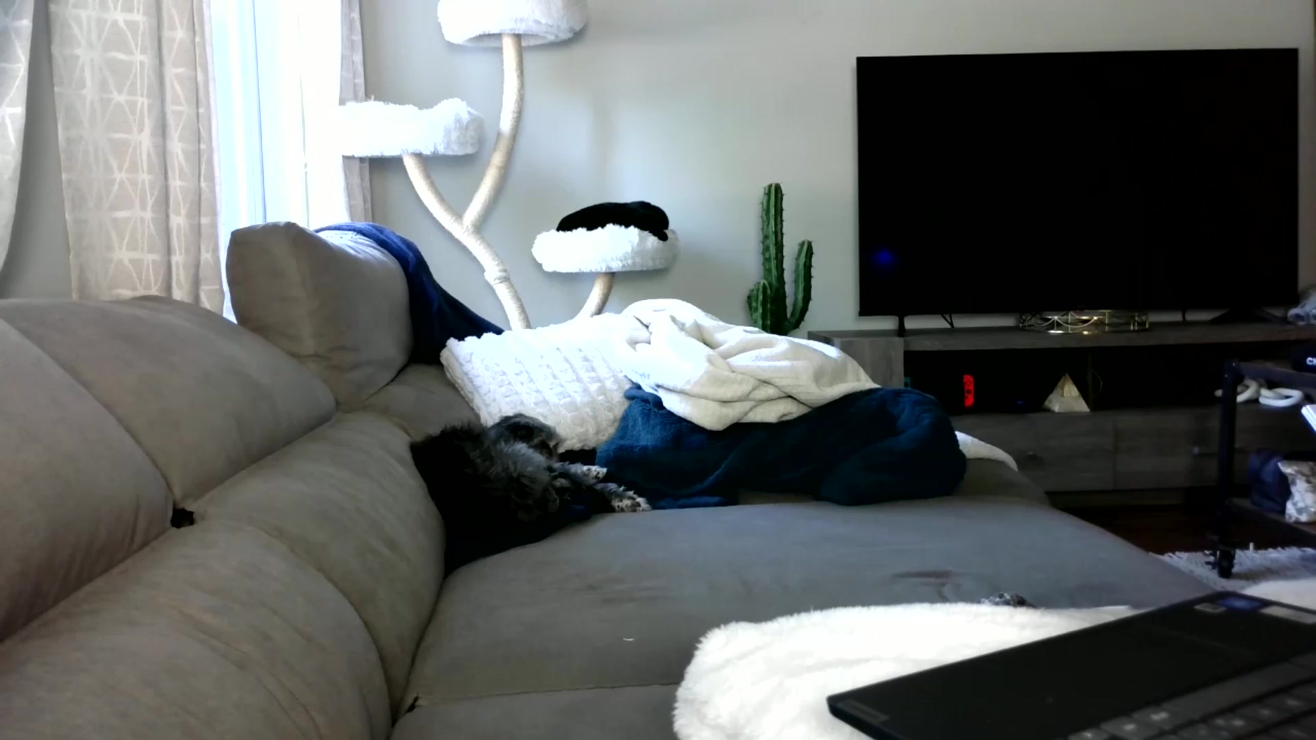 Gallery image thumbnail from Goldilicks's myfreecams stream on, 05/30/2024, 14:10 image 7 of 20
