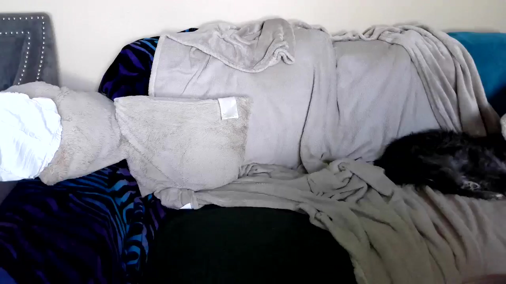 Gallery image thumbnail from Goldilicks's myfreecams stream on, 06/23/2024, 23:03 image 7 of 20