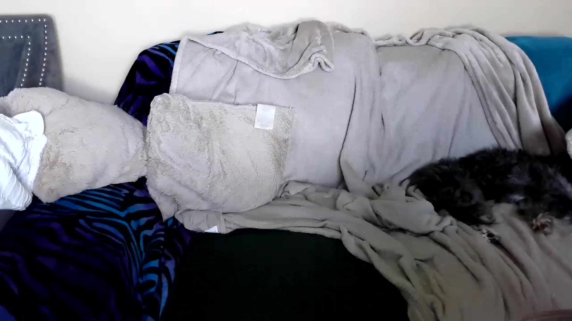 Gallery image thumbnail from Goldilicks's myfreecams stream on, 06/23/2024, 23:03 image 10 of 20