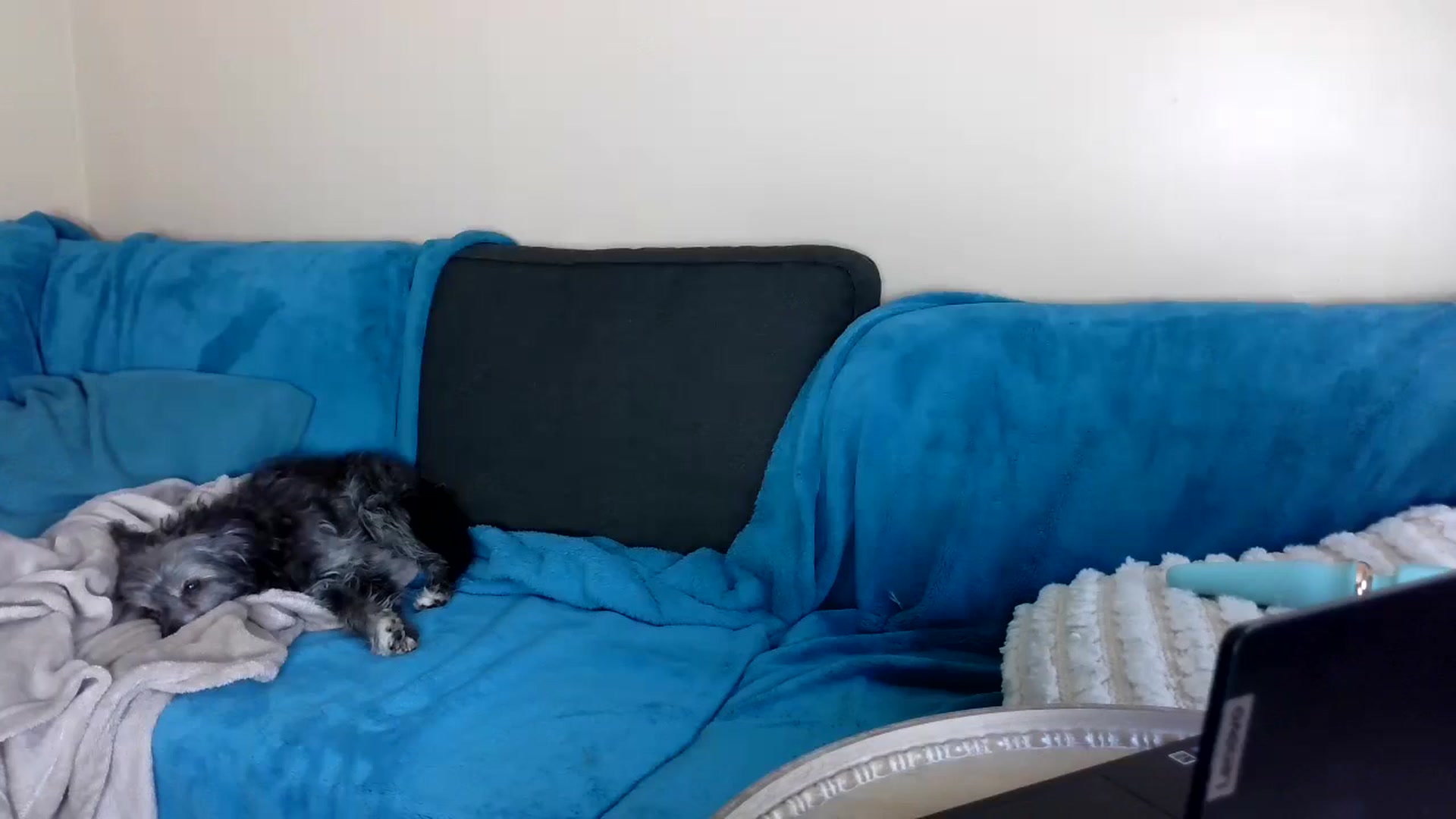 Gallery image thumbnail from Goldilicks's myfreecams stream on, 07/10/2024, 19:21 image 2 of 20