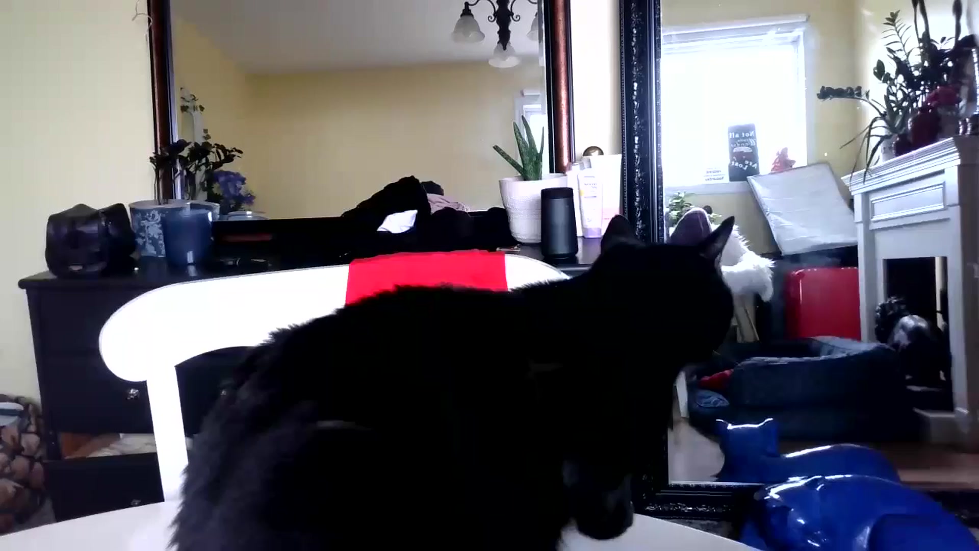 Gallery image thumbnail from Goldilicks's myfreecams stream on, 07/11/2024, 12:47 image 16 of 20