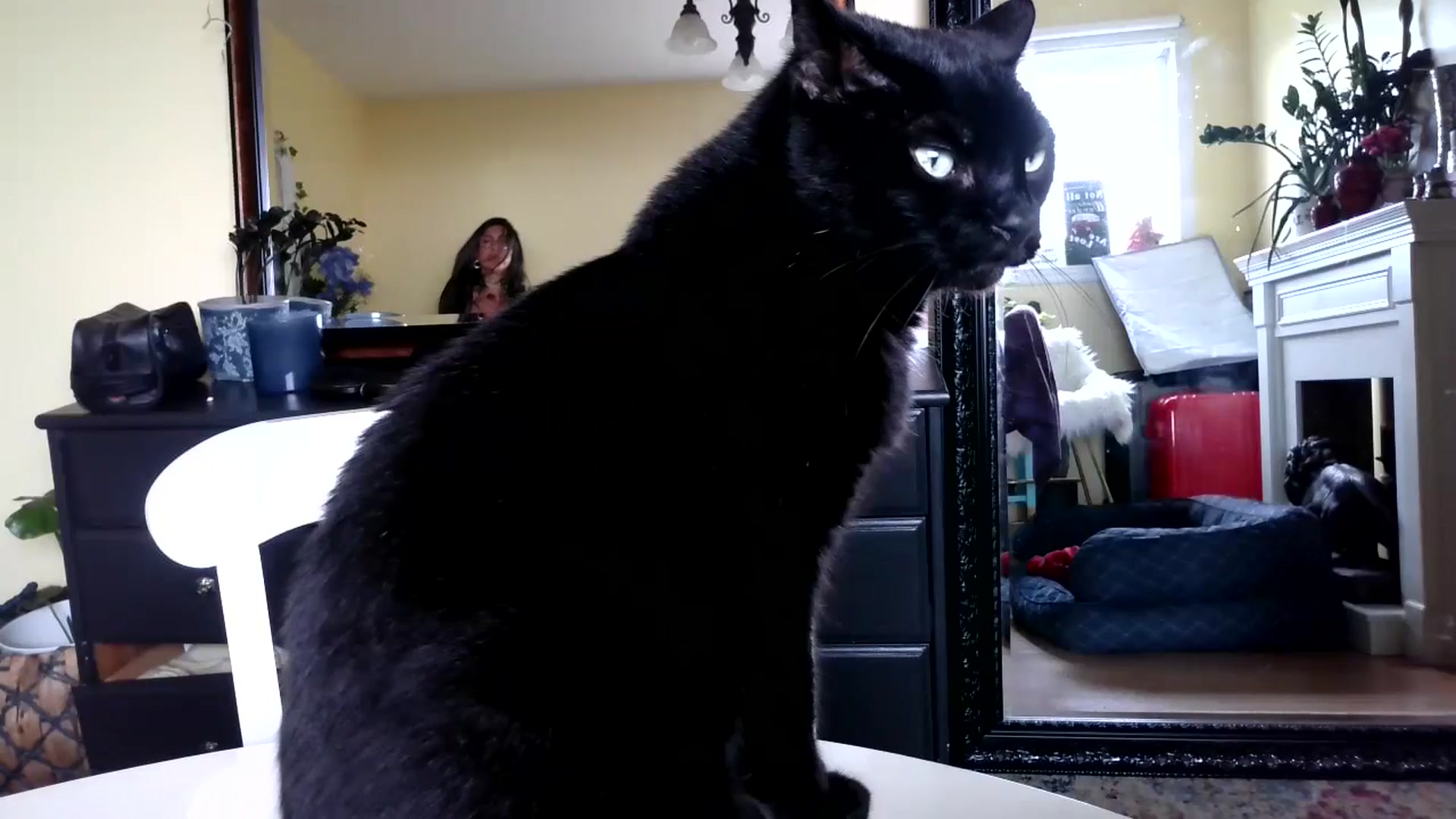 Gallery image thumbnail from Goldilicks's myfreecams stream on, 07/11/2024, 12:47 image 15 of 20