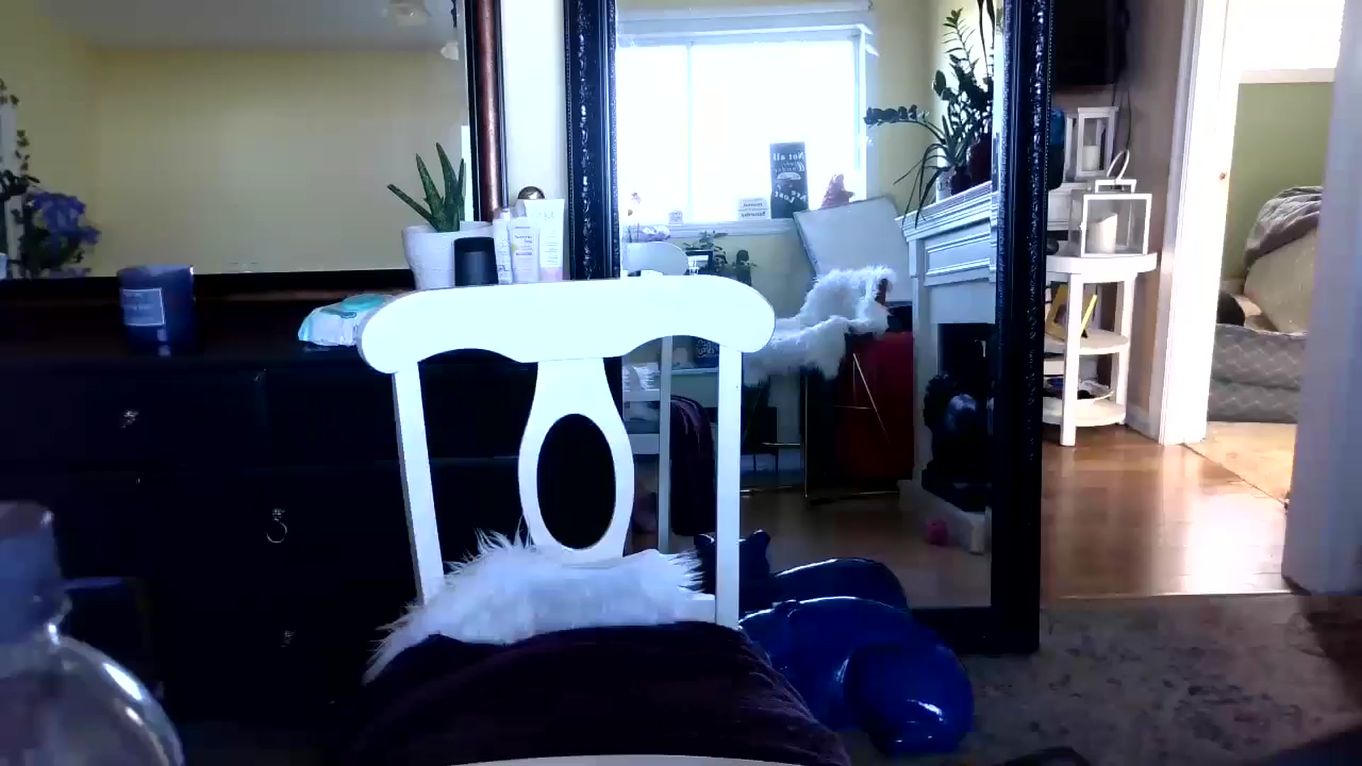 Gallery image thumbnail from Goldilicks's myfreecams stream on, 07/11/2024, 23:08 image 19 of 20