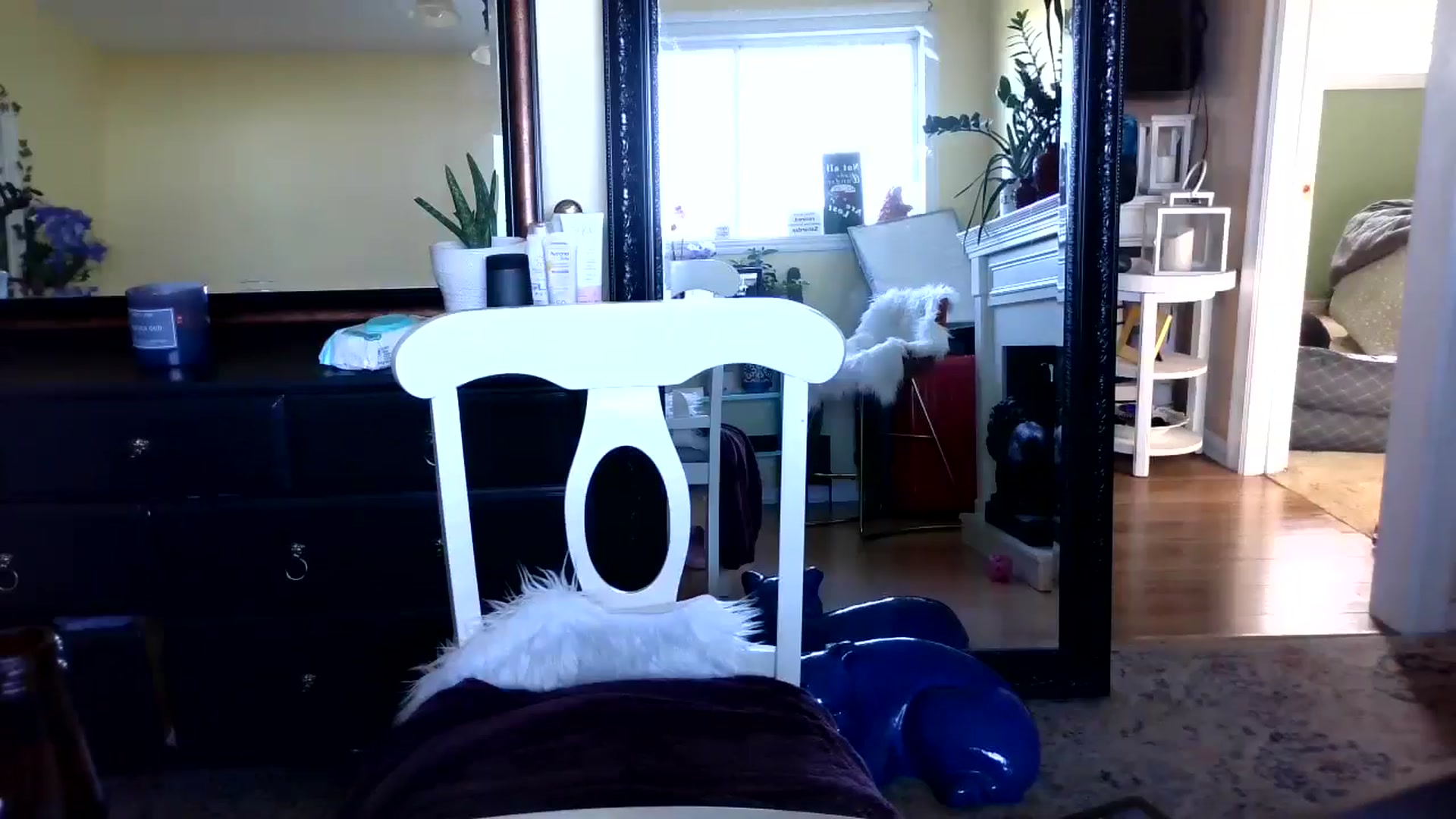 Gallery image thumbnail from Goldilicks's myfreecams stream on, 07/11/2024, 23:08 image 12 of 20