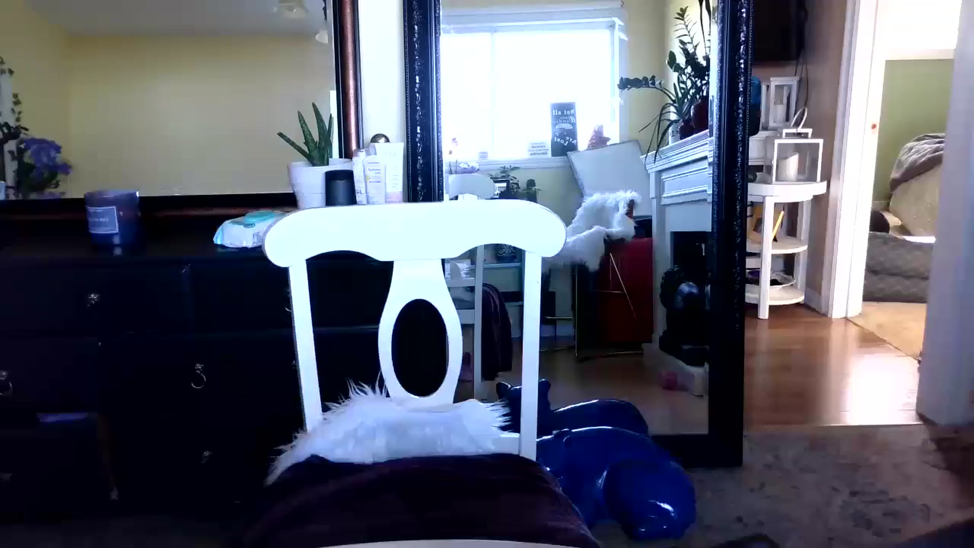Gallery image thumbnail from Goldilicks's myfreecams stream on, 07/11/2024, 23:08 image 8 of 20