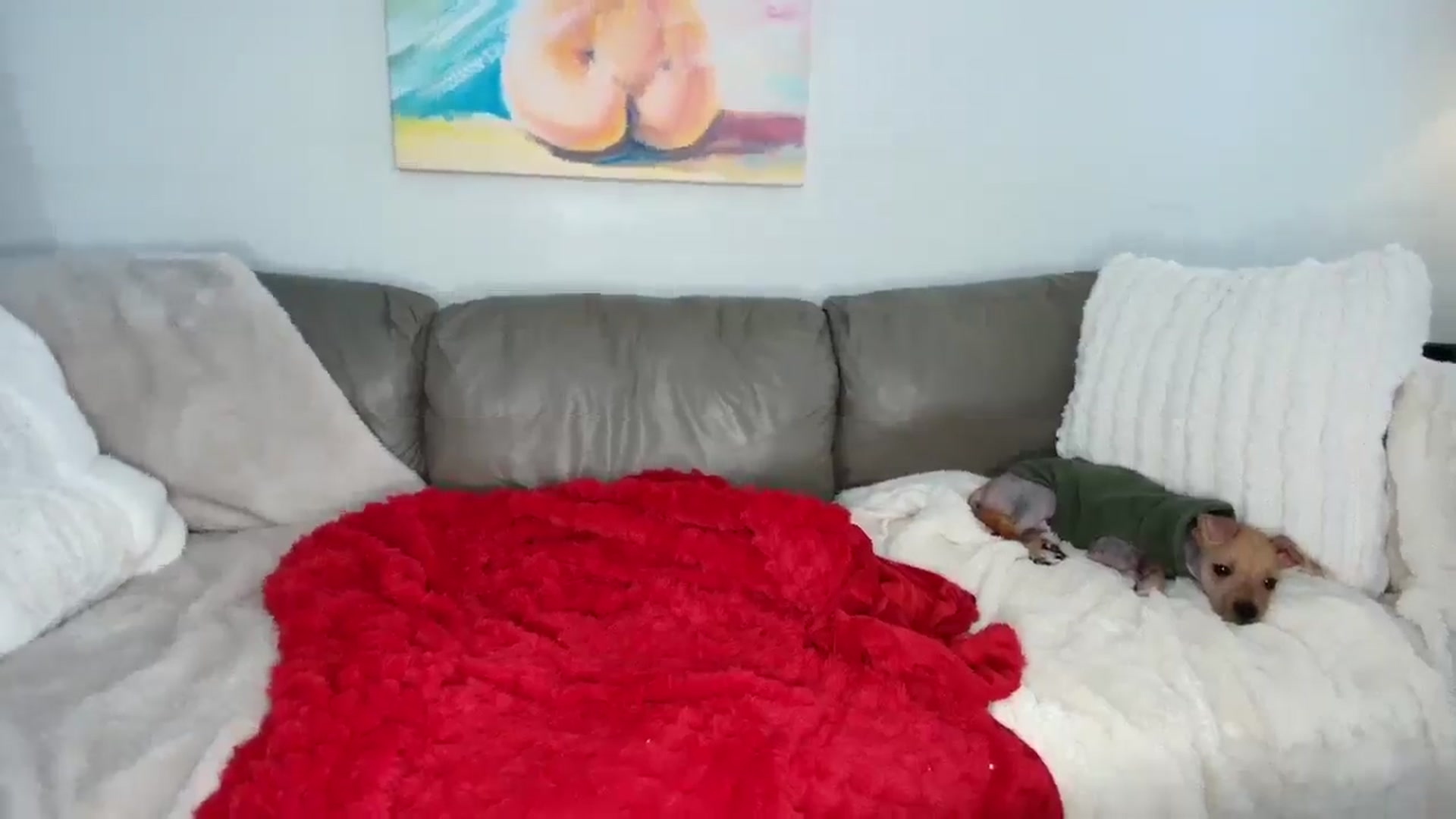 Gallery image thumbnail from Goldilicks's myfreecams stream on, 01/03/2025, 17:07 image 12 of 20