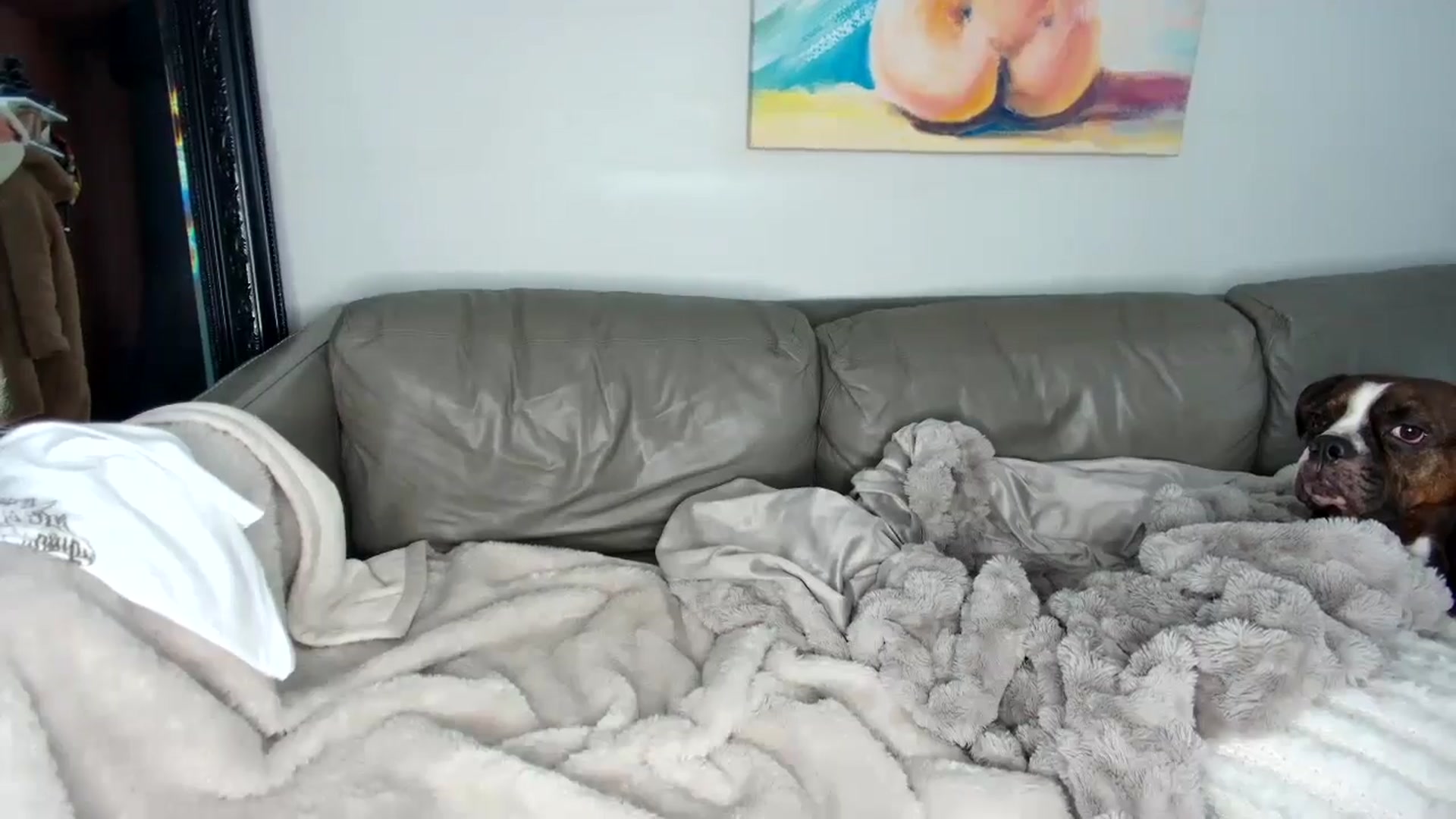 Gallery image thumbnail from Goldilicks's myfreecams stream on, 01/05/2025, 18:41 image 2 of 20