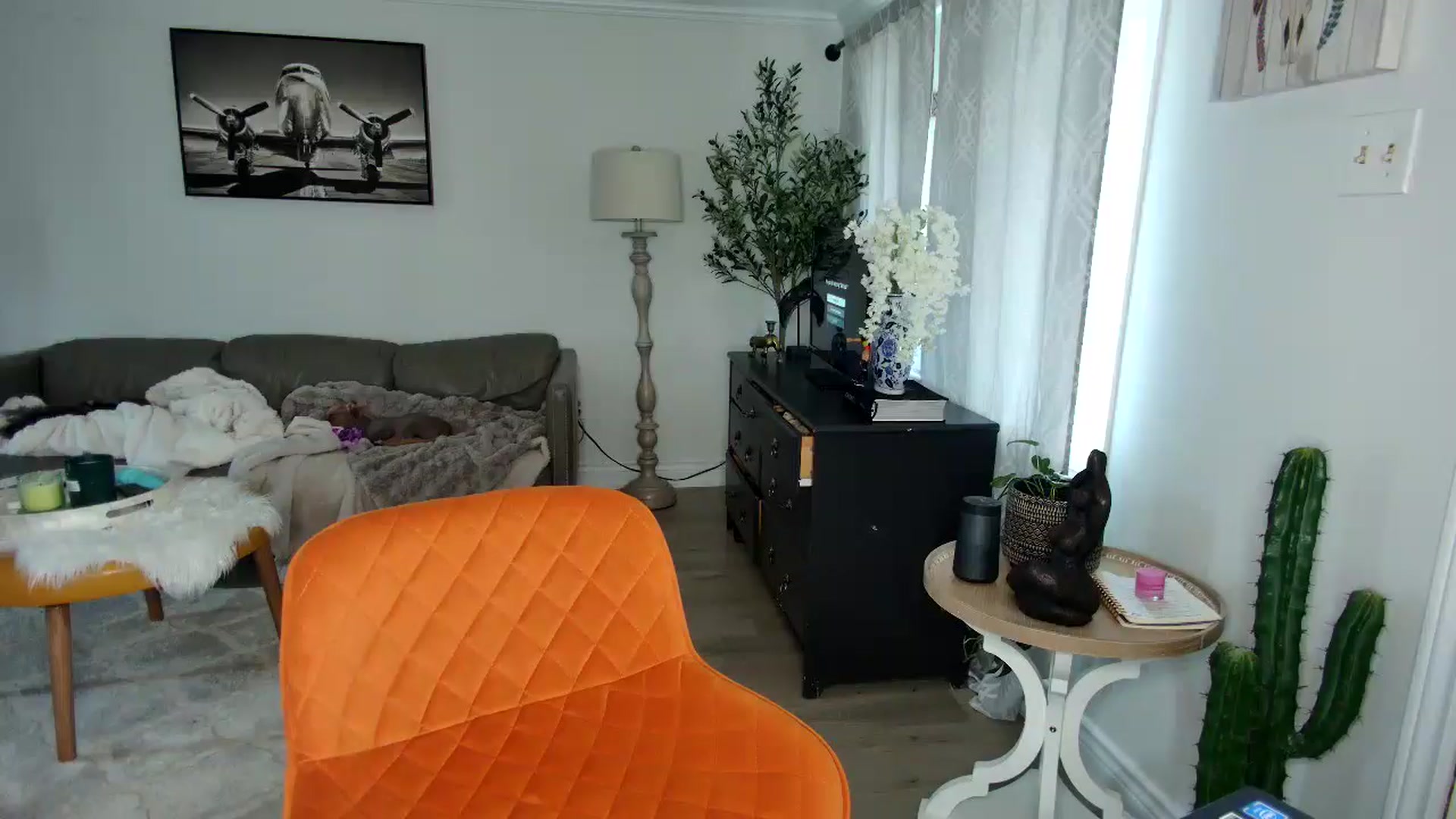 Gallery image thumbnail from Goldilicks's myfreecams stream on, 04/15/2025, 22:09 image 7 of 20