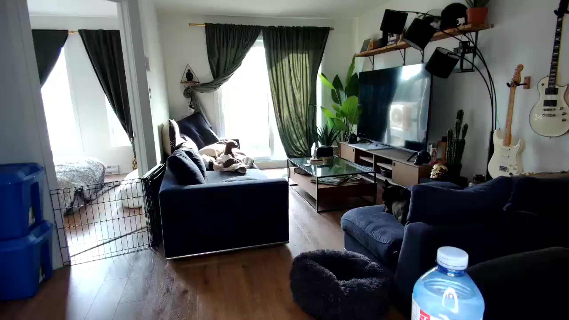 Gallery image thumbnail from Goldilicks's myfreecams stream on, 08/23/2025, 21:52 image 19 of 20