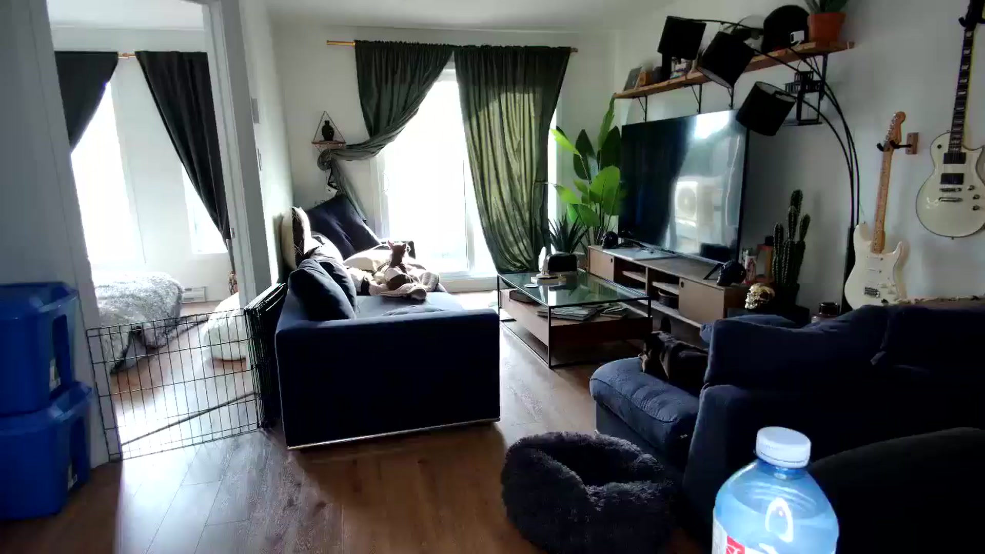 Gallery image thumbnail from Goldilicks's myfreecams stream on, 08/23/2025, 21:52 image 18 of 20
