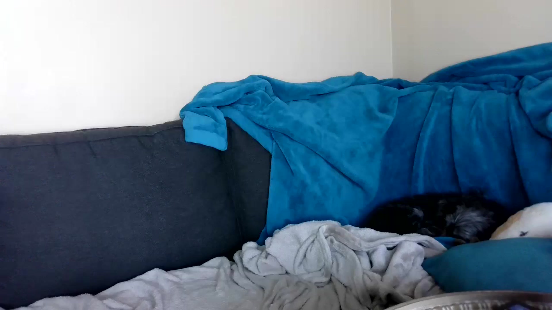 Gallery image thumbnail from GolfWithGoldi's myfreecams stream on, 07/31/2024, 24:20 image 19 of 20