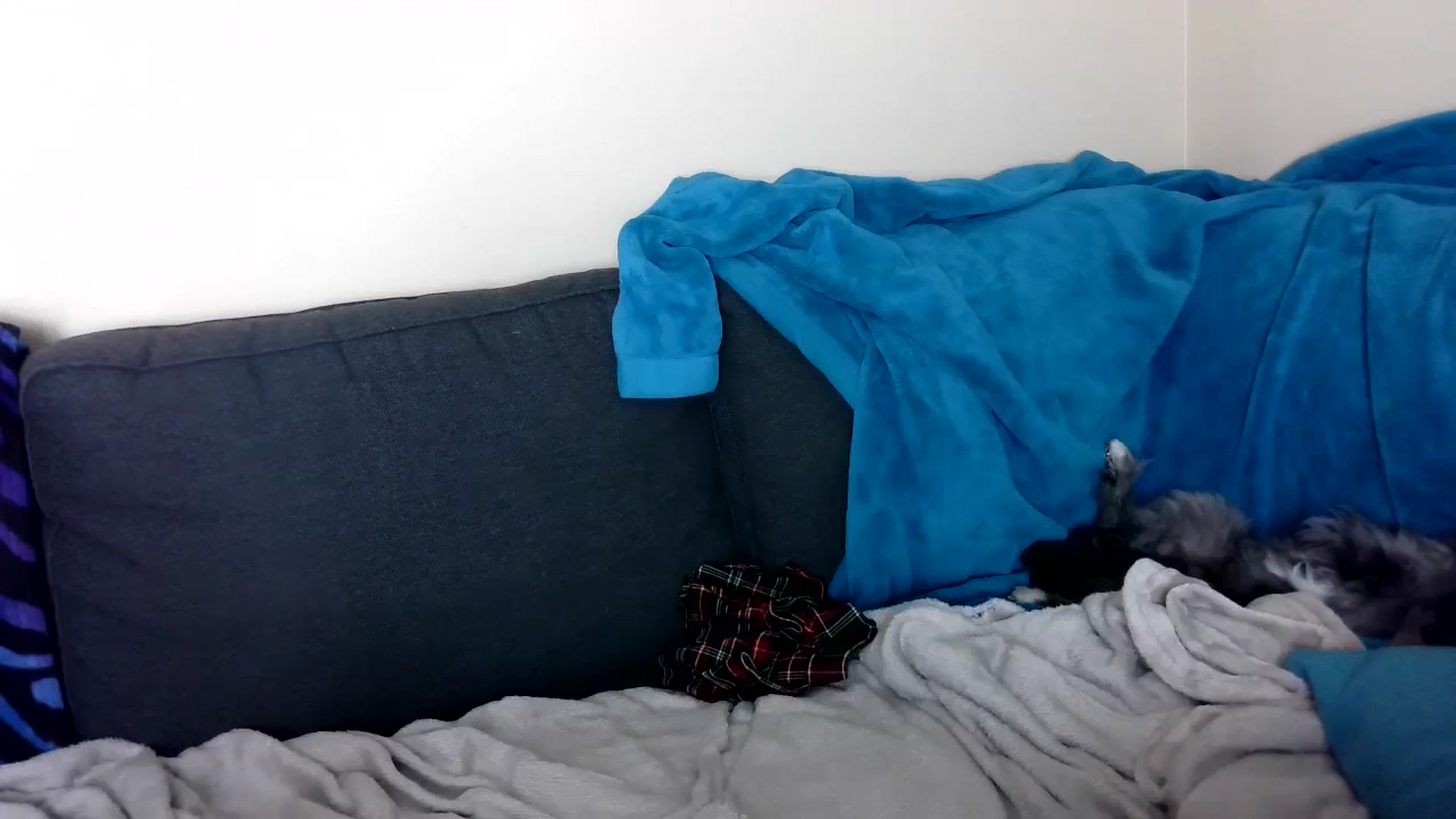 Gallery image thumbnail from GolfWithGoldi's myfreecams stream on, 07/31/2024, 02:37 image 11 of 20