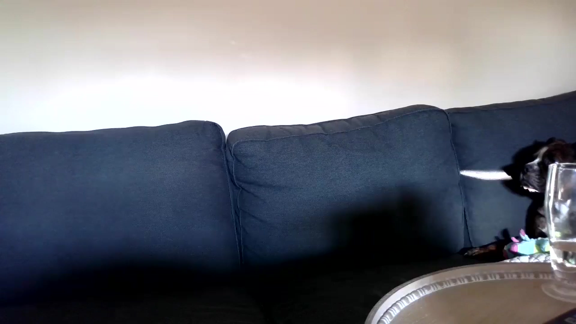 Gallery image thumbnail from GolfWithGoldi's myfreecams stream on, 08/03/2024, 22:56 image 20 of 20