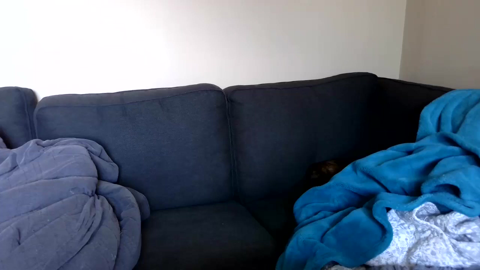 Gallery image thumbnail from GolfWithGoldi's myfreecams stream on, 08/09/2024, 20:10 image 5 of 20