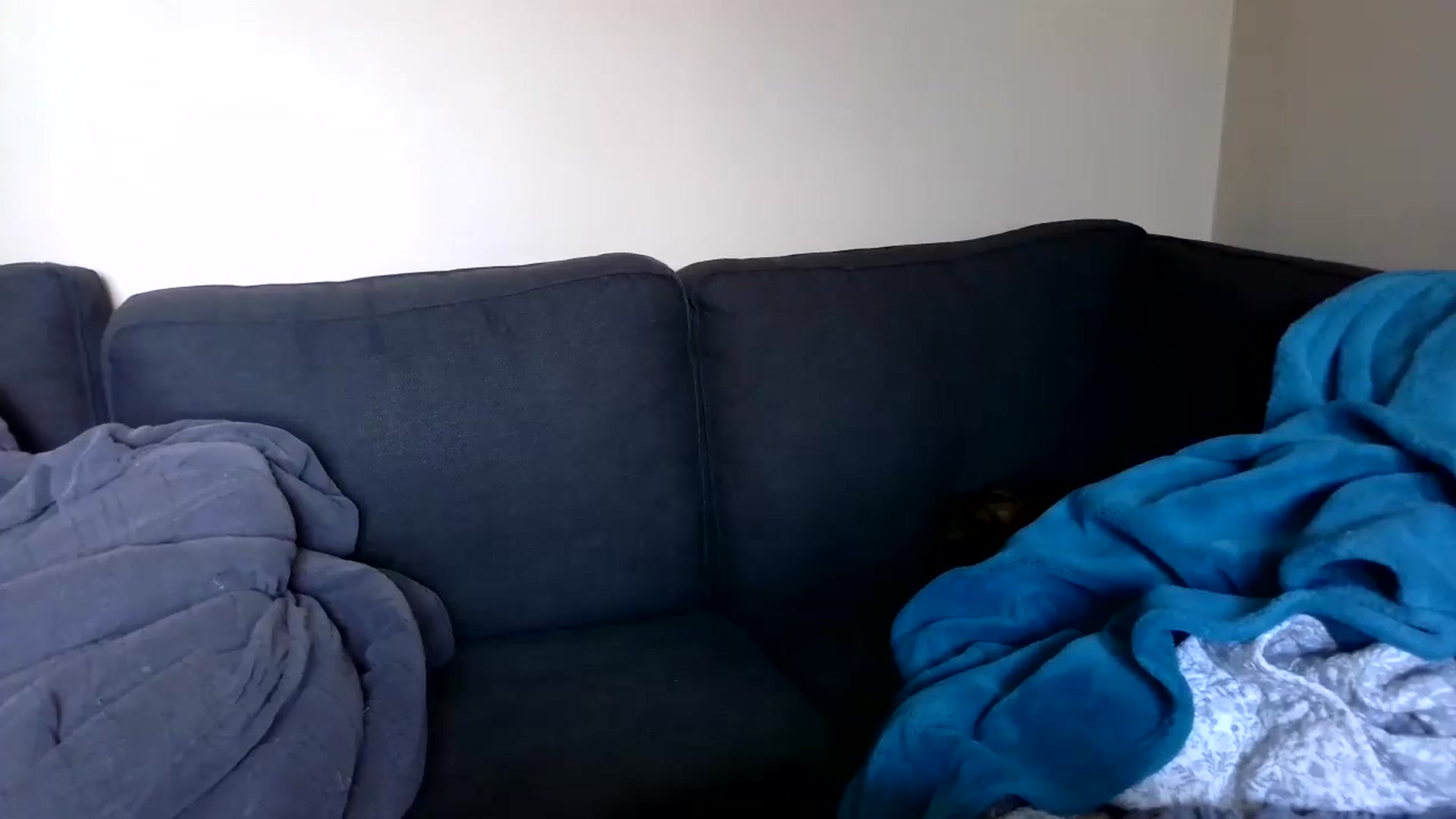 Gallery image thumbnail from GolfWithGoldi's myfreecams stream on, 08/09/2024, 20:10 image 4 of 20