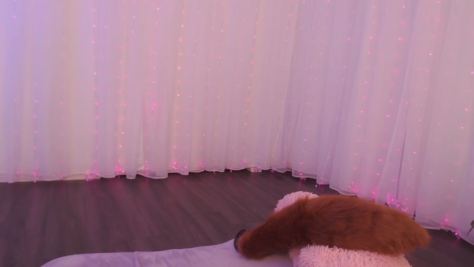 Gallery image thumbnail from GoodestGirl's myfreecams stream on, 03/30/2023, 06:22 image 10 of 20