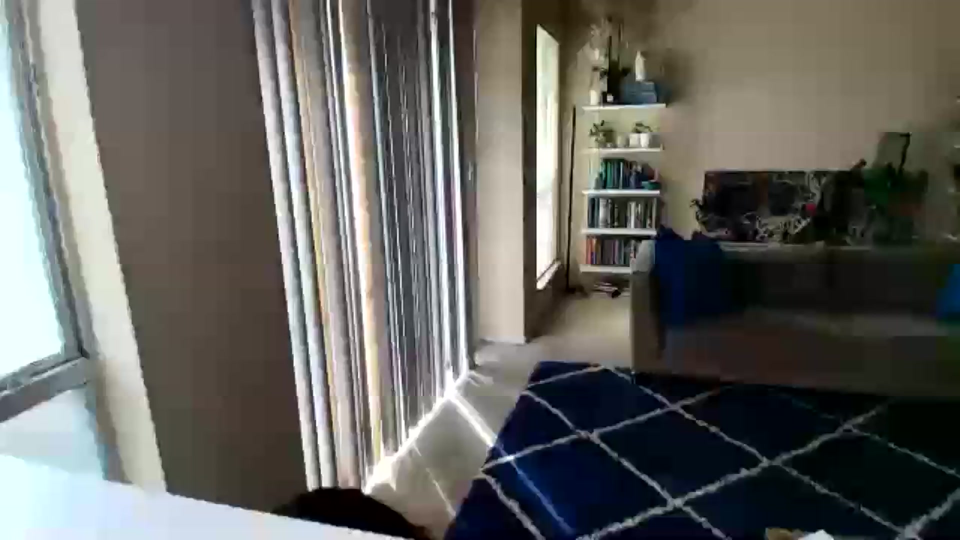 Gallery image thumbnail from Goodmoodhuman's myfreecams stream on, 06/25/2026, 15:38 image 9 of 20