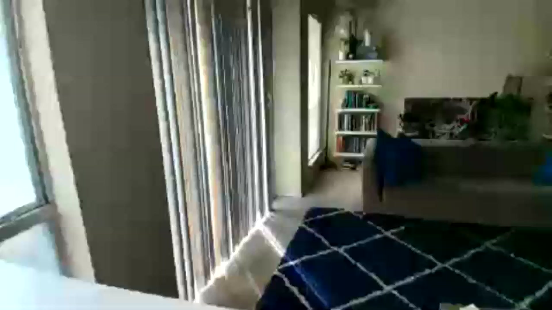Gallery image thumbnail from Goodmoodhuman's myfreecams stream on, 06/25/2026, 15:38 image 10 of 20