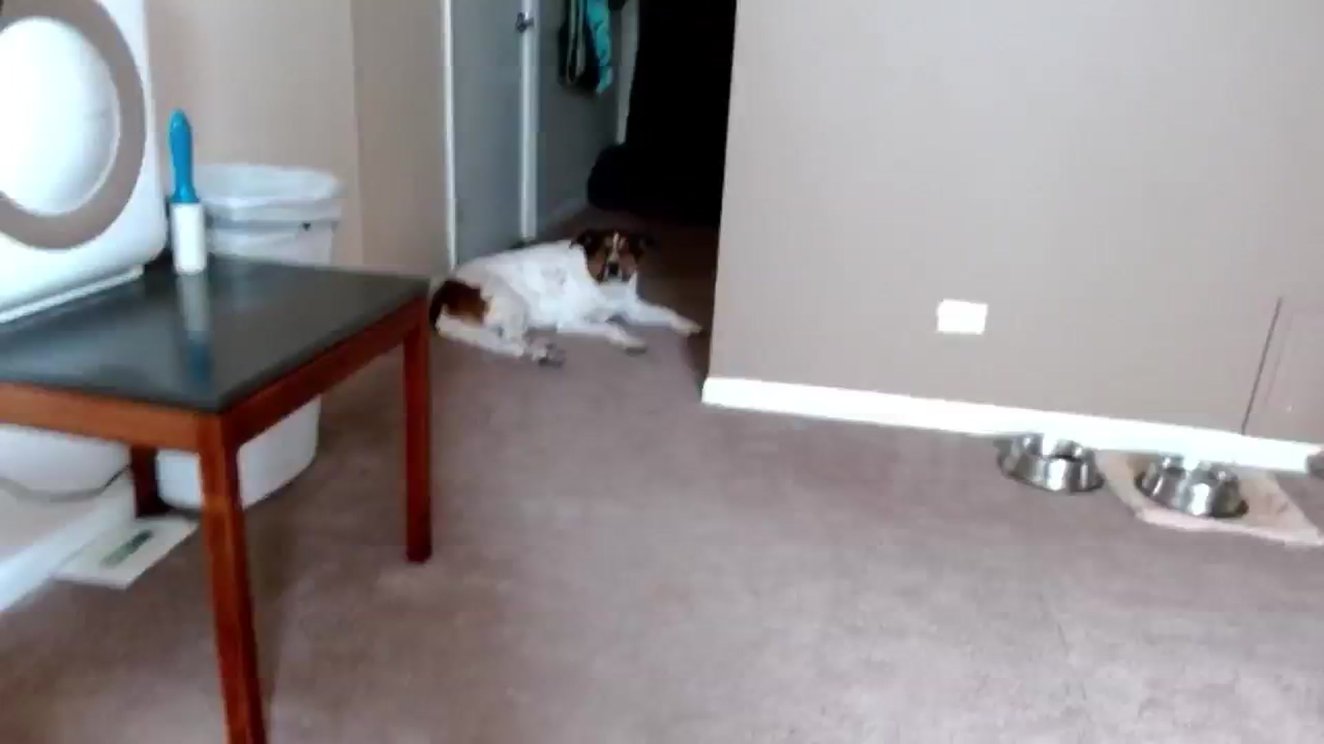 Gallery image thumbnail from Google_'s myfreecams stream on, 07/02/2024, 20:49 image 5 of 20