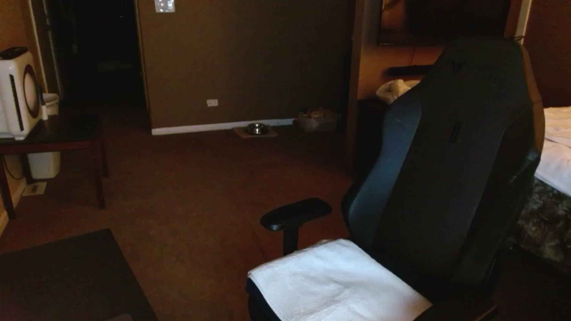 Gallery image thumbnail from Google_'s myfreecams stream on, 07/03/2024, 02:43 image 11 of 20