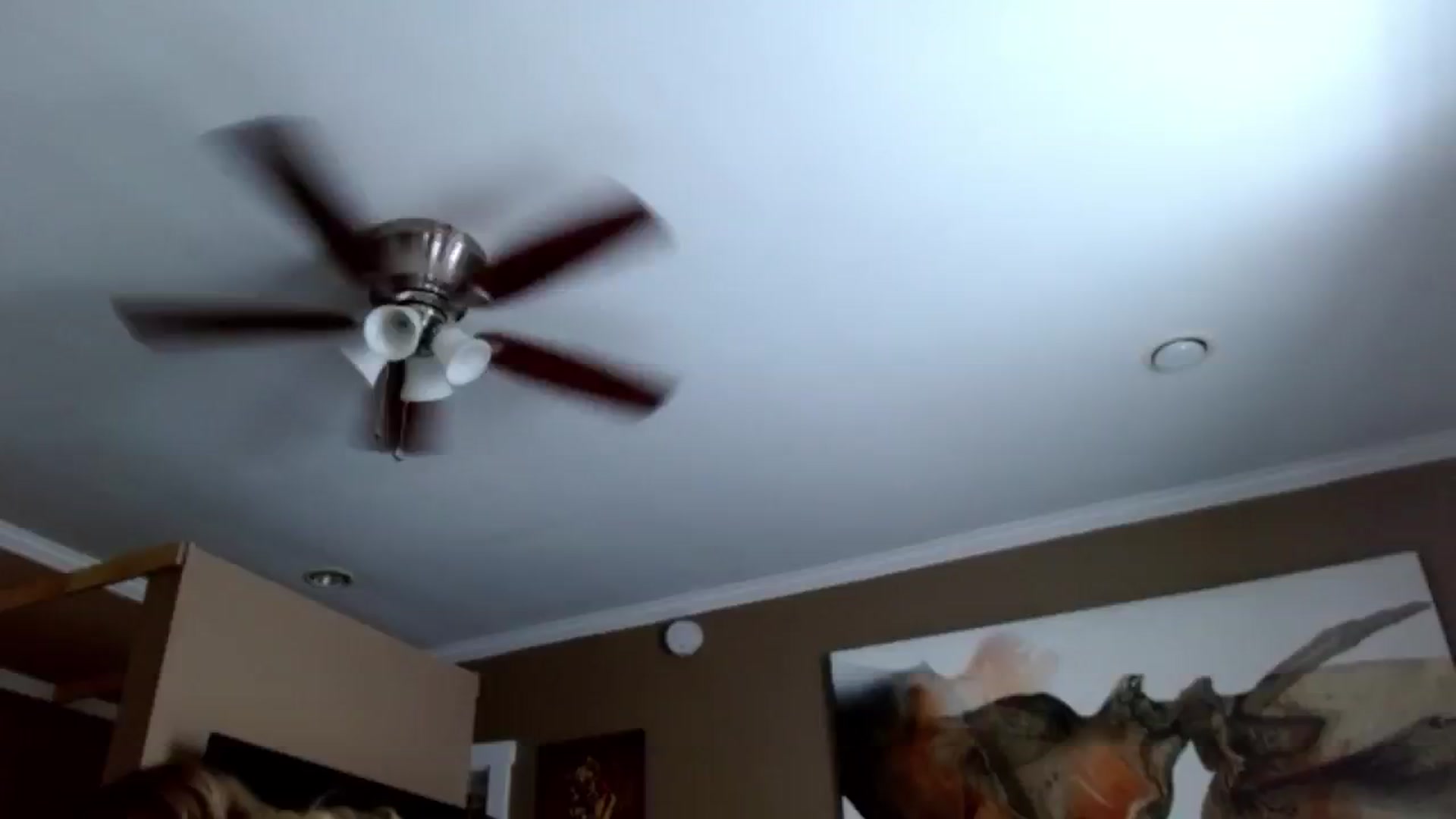 Gallery image thumbnail from Google_'s myfreecams stream on, 07/10/2024, 21:07 image 19 of 20
