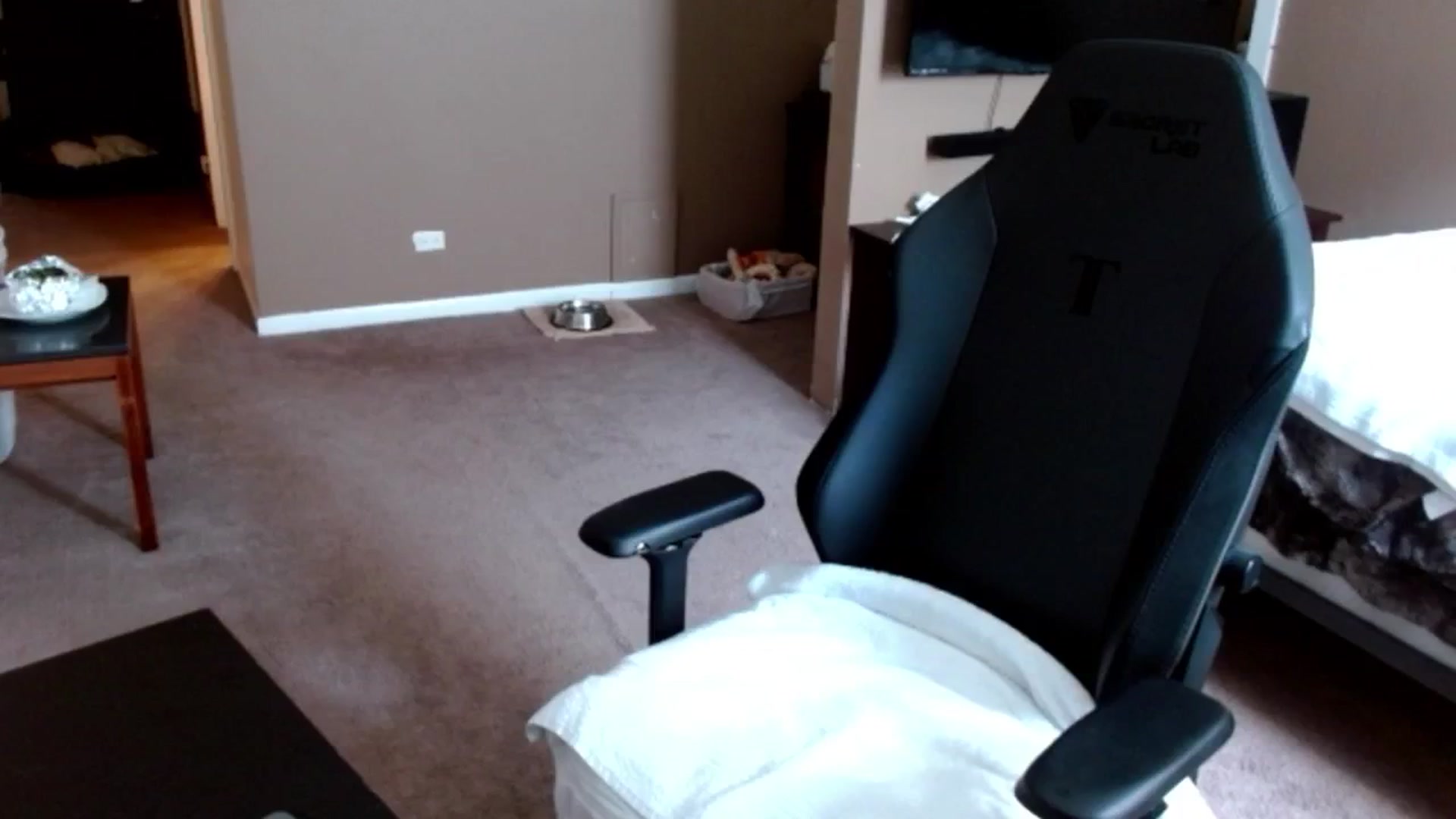 Gallery image thumbnail from Google_'s myfreecams stream on, 07/30/2024, 19:45 image 13 of 20