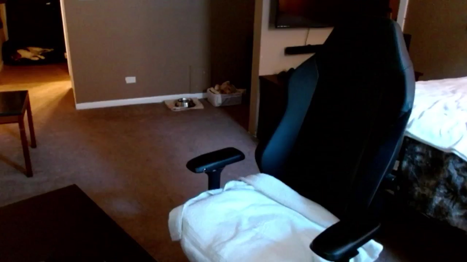 Gallery image thumbnail from Google_'s myfreecams stream on, 08/01/2024, 24:51 image 13 of 20
