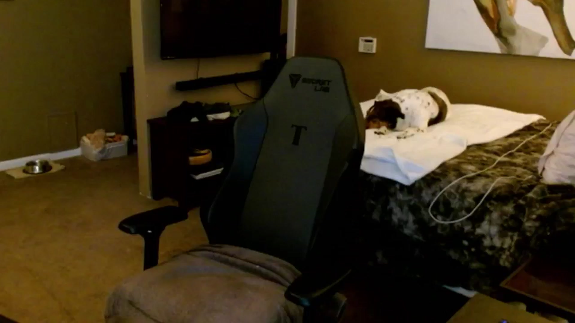 Gallery image thumbnail from Google_'s myfreecams stream on, 10/08/2024, 05:15 image 16 of 20
