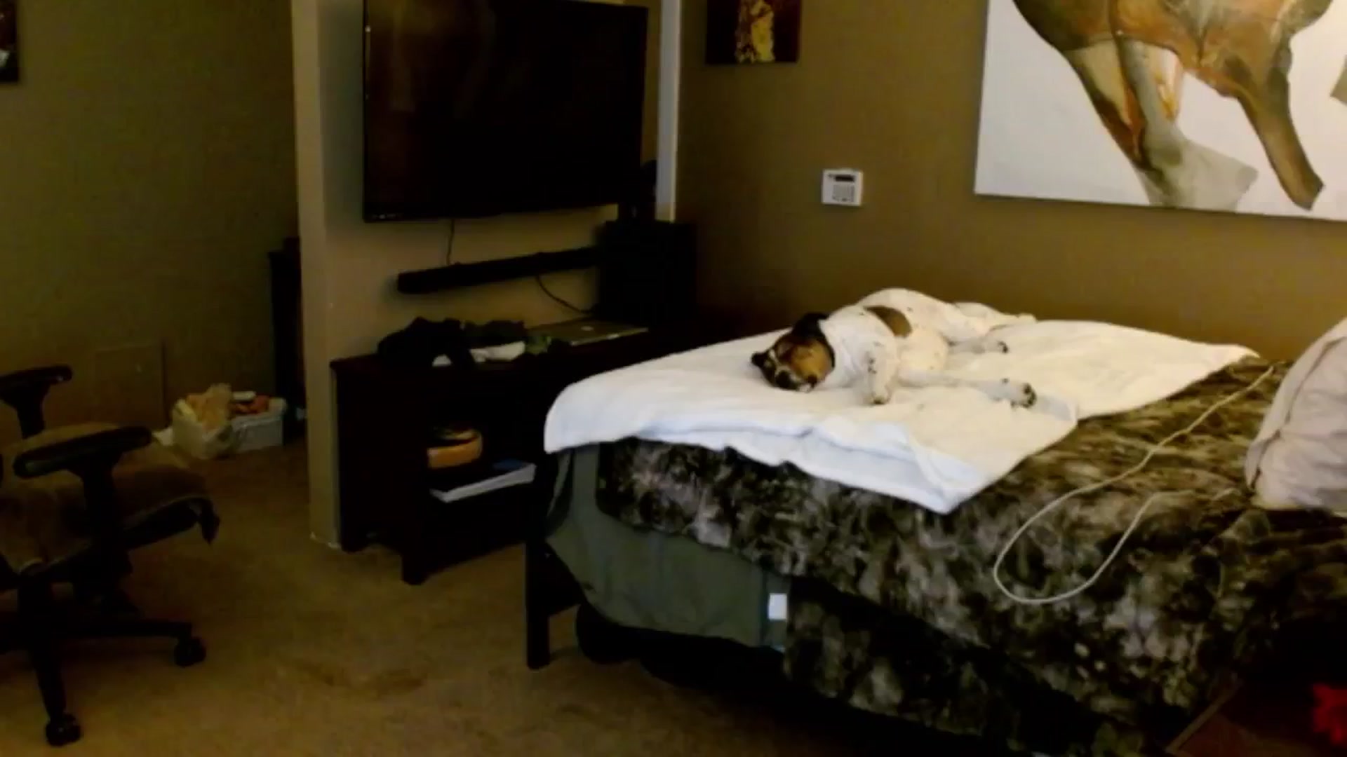 Gallery image thumbnail from Google_'s myfreecams stream on, 10/08/2024, 05:15 image 13 of 20