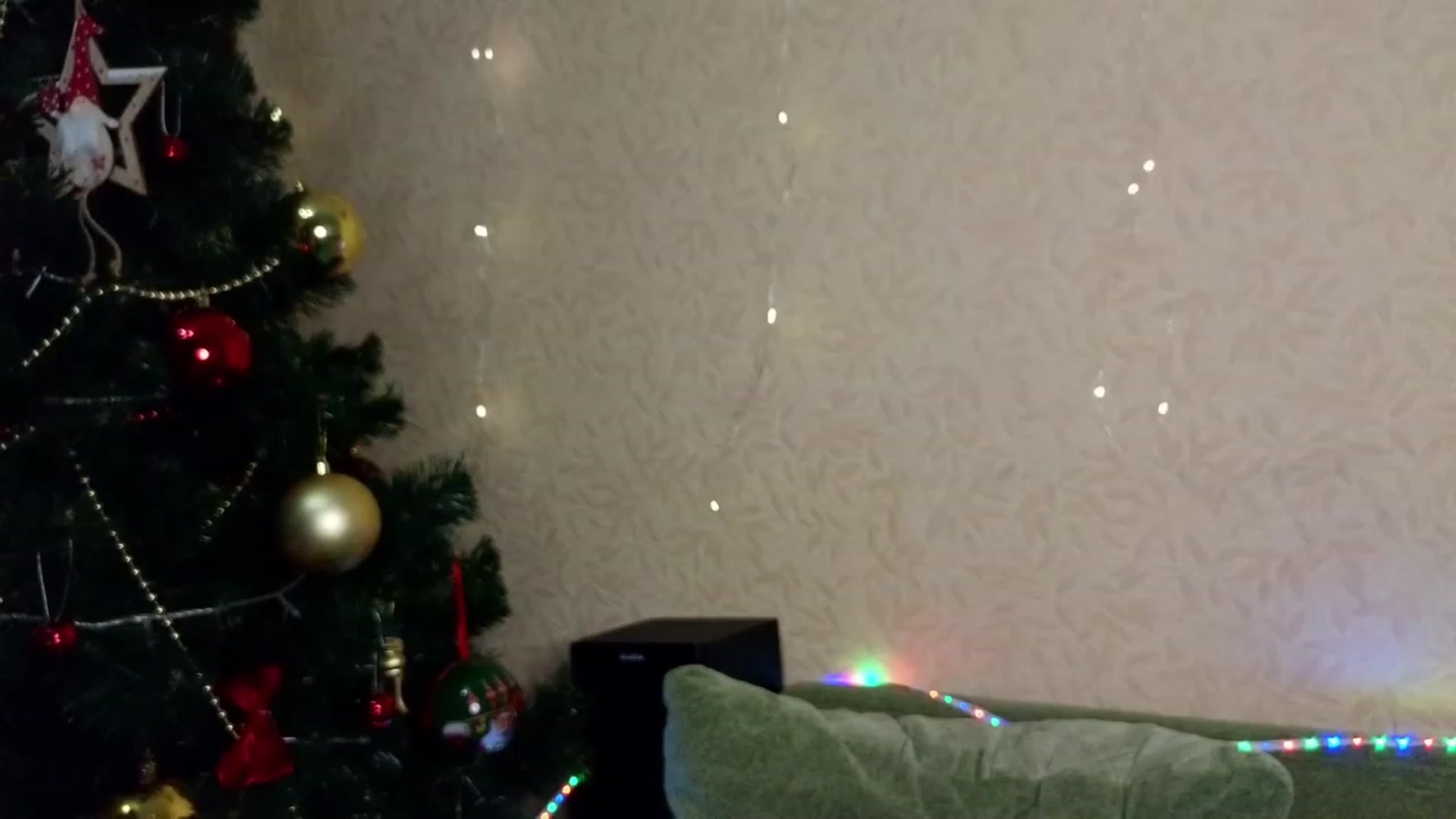 Gallery image thumbnail from Goose_Doe's myfreecams stream on, 12/26/2023, 12:38 image 11 of 20