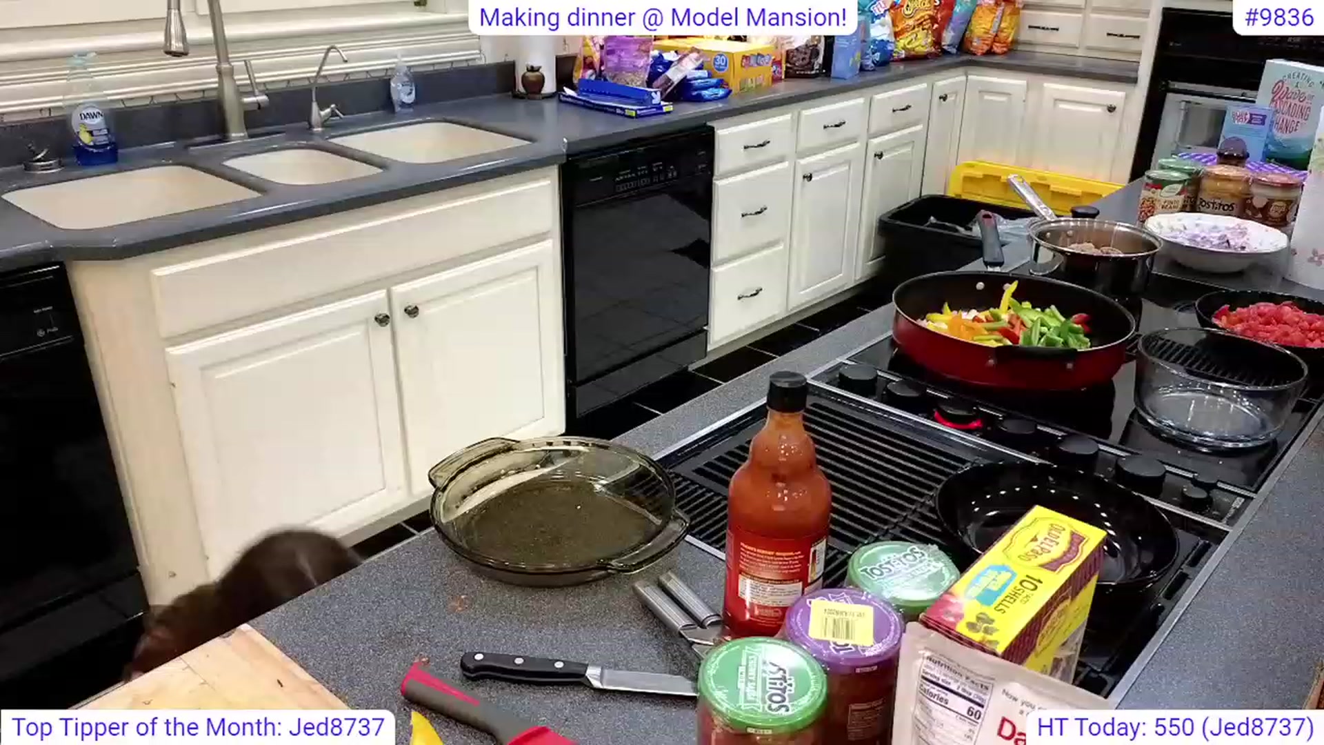 Gallery image thumbnail from GraceRyan's myfreecams stream on, 06/24/2023, 01:35 image 7 of 20
