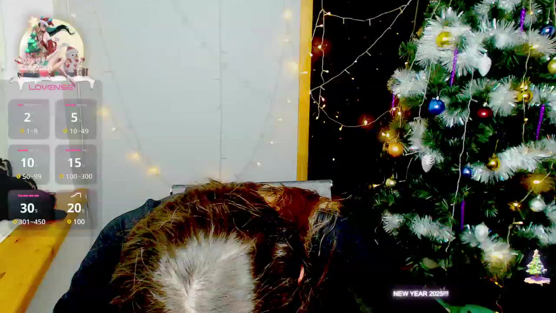Gallery image thumbnail from Graceful_Doll's myfreecams stream on, 12/30/2024, 14:26 image 14 of 20