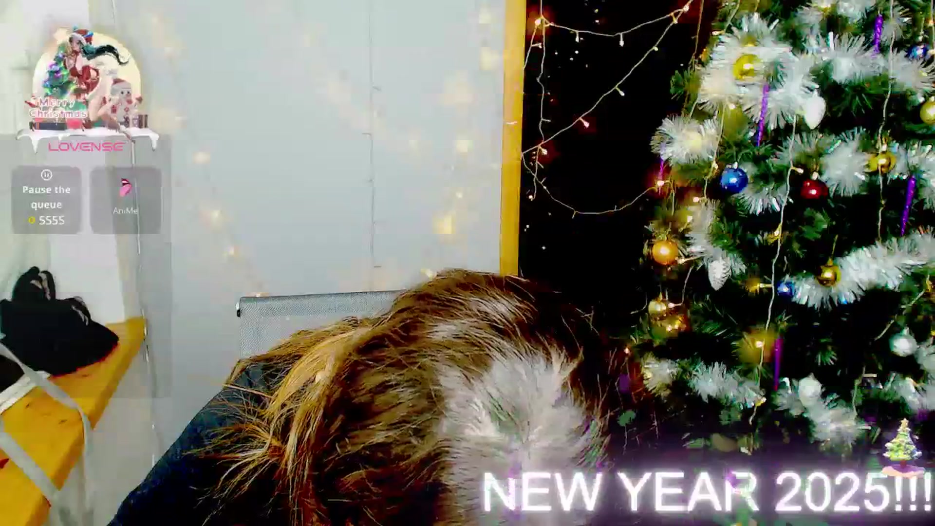 Gallery image thumbnail from Graceful_Doll's myfreecams stream on, 12/30/2024, 15:55 image 5 of 20